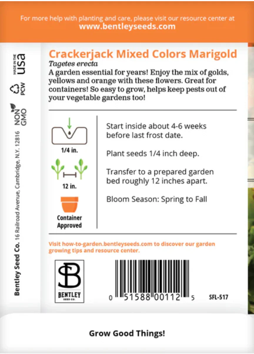 Marigold 'Crackerjack' Mixed Colors - Flower Seeds - Image 3