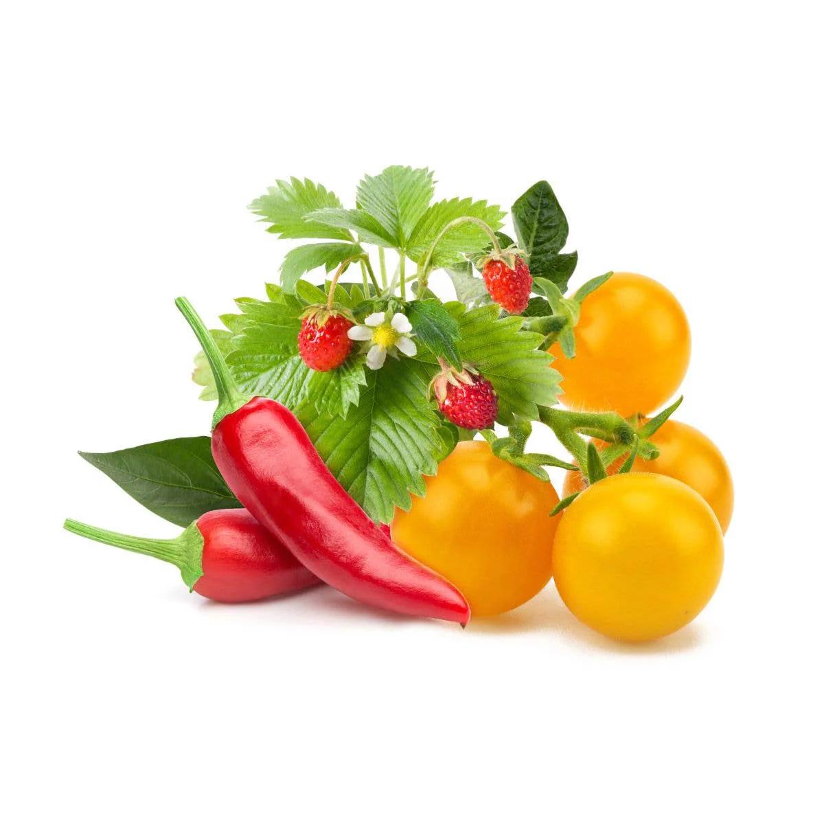 Fruit and Veggie Mix 9-pack - Image 2