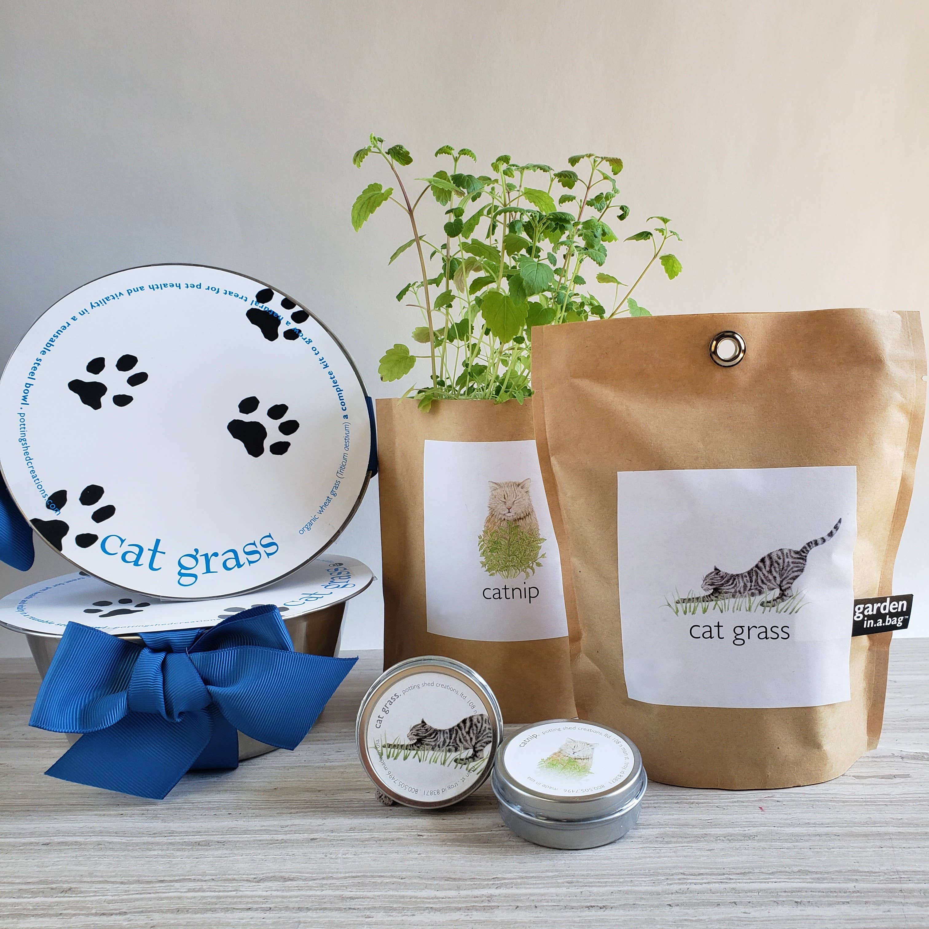 Garden in a Bag | Cat Grass | Spring Pet Treat Gift - Image 4