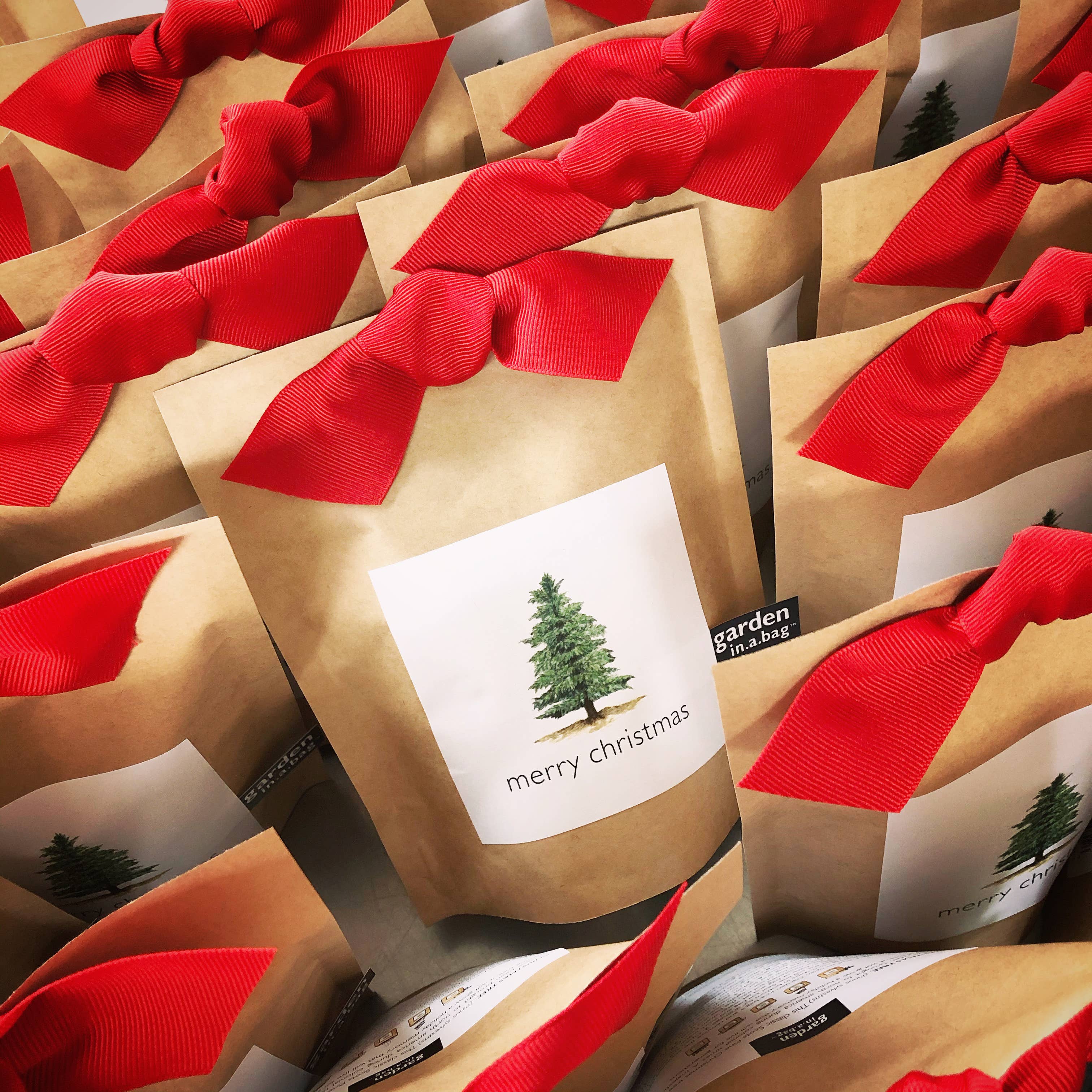 Garden in a Bag | Christmas Tree | Best Seller - Image 2