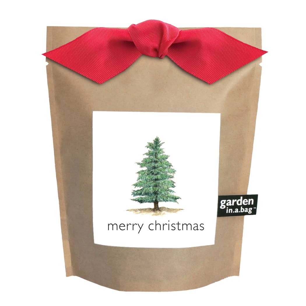 Garden in a Bag | Christmas Tree | Best Seller - Image 3