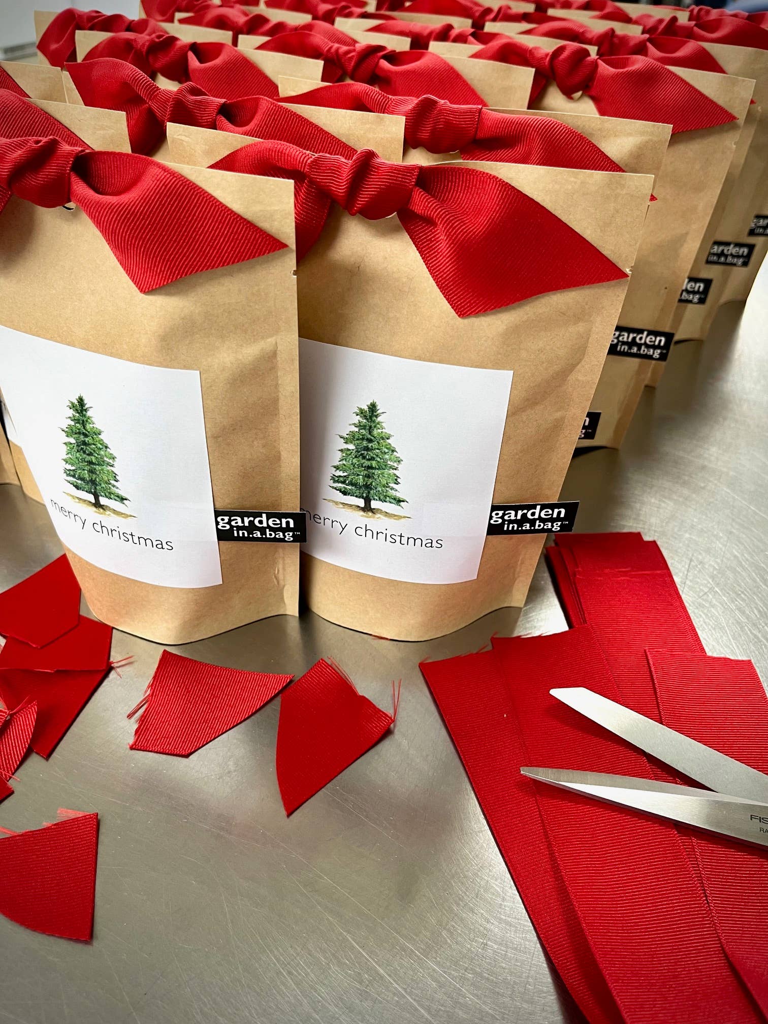 Garden in a Bag | Christmas Tree | Best Seller - Image 4