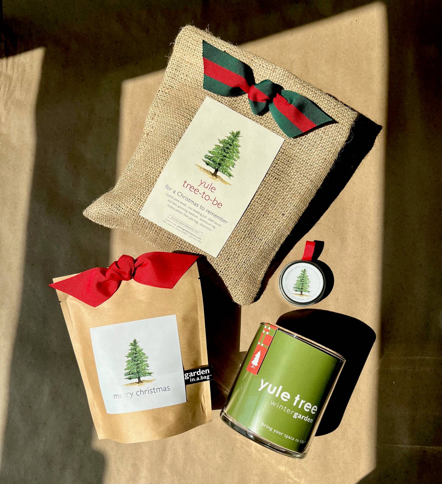 Garden in a Bag | Christmas Tree | Best Seller - Image 5