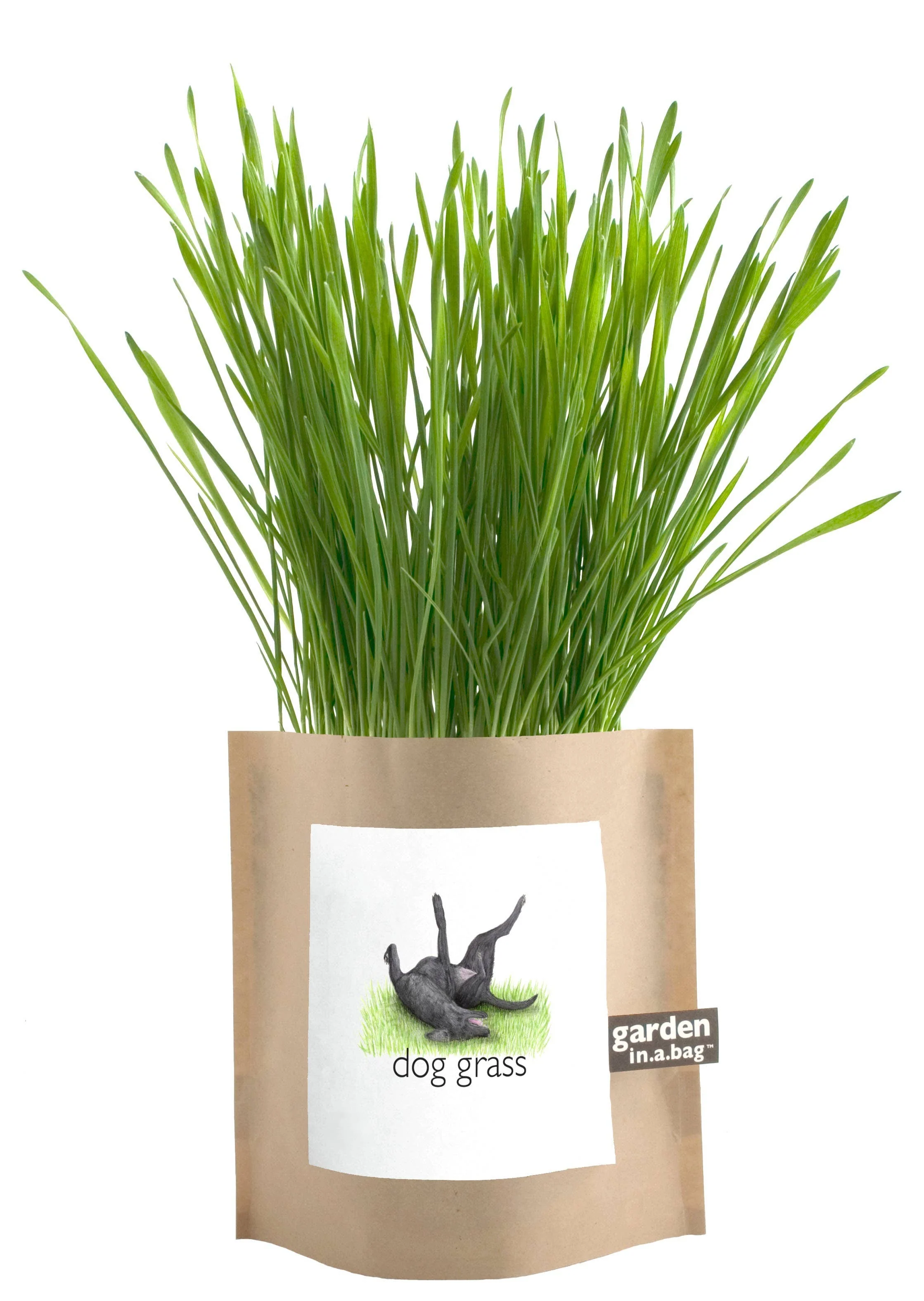 Garden in a Bag | Dog Grass | Spring Pet Treat Gift - Image 3