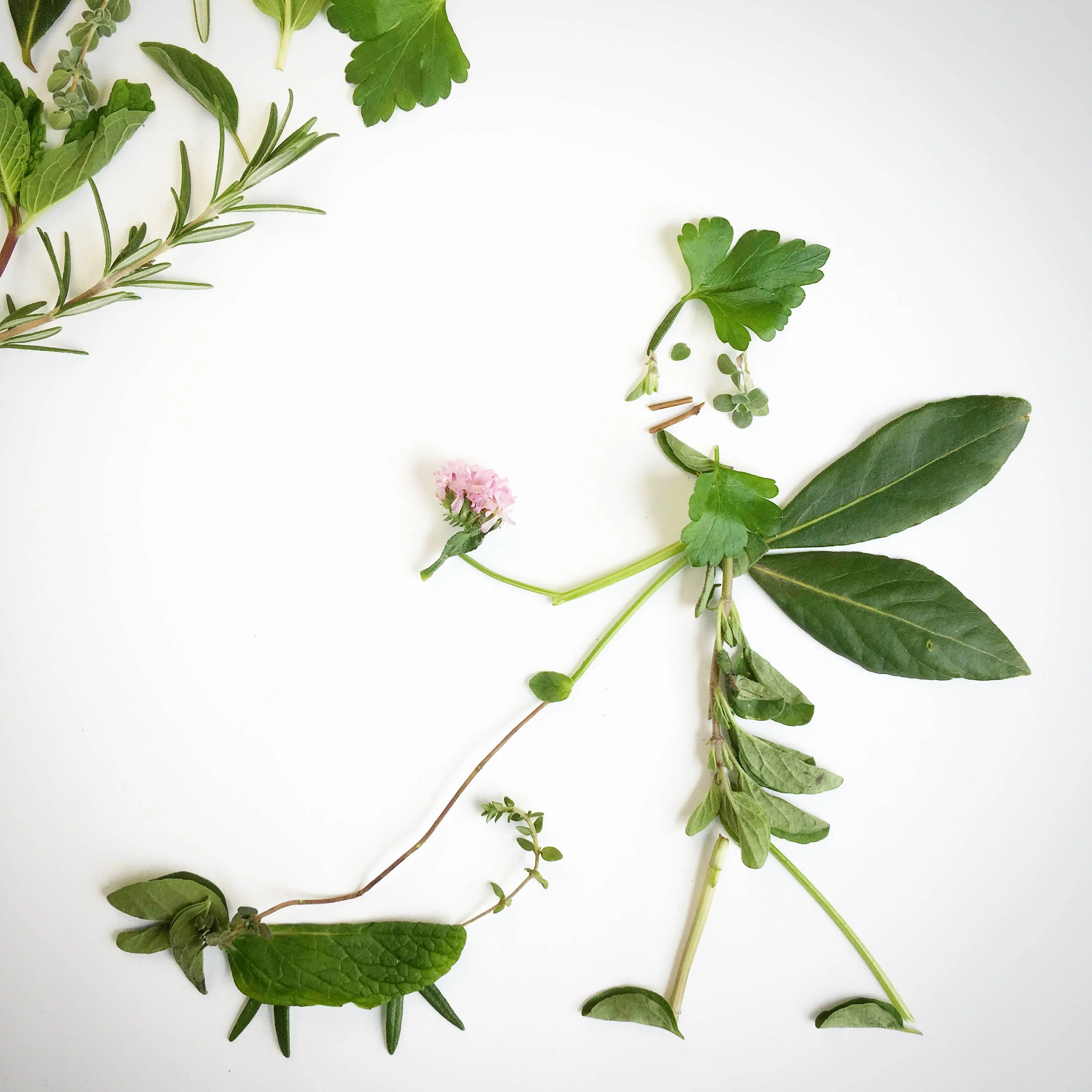 Garden in a Bag | Dog Grass | Spring Pet Treat Gift - Image 5