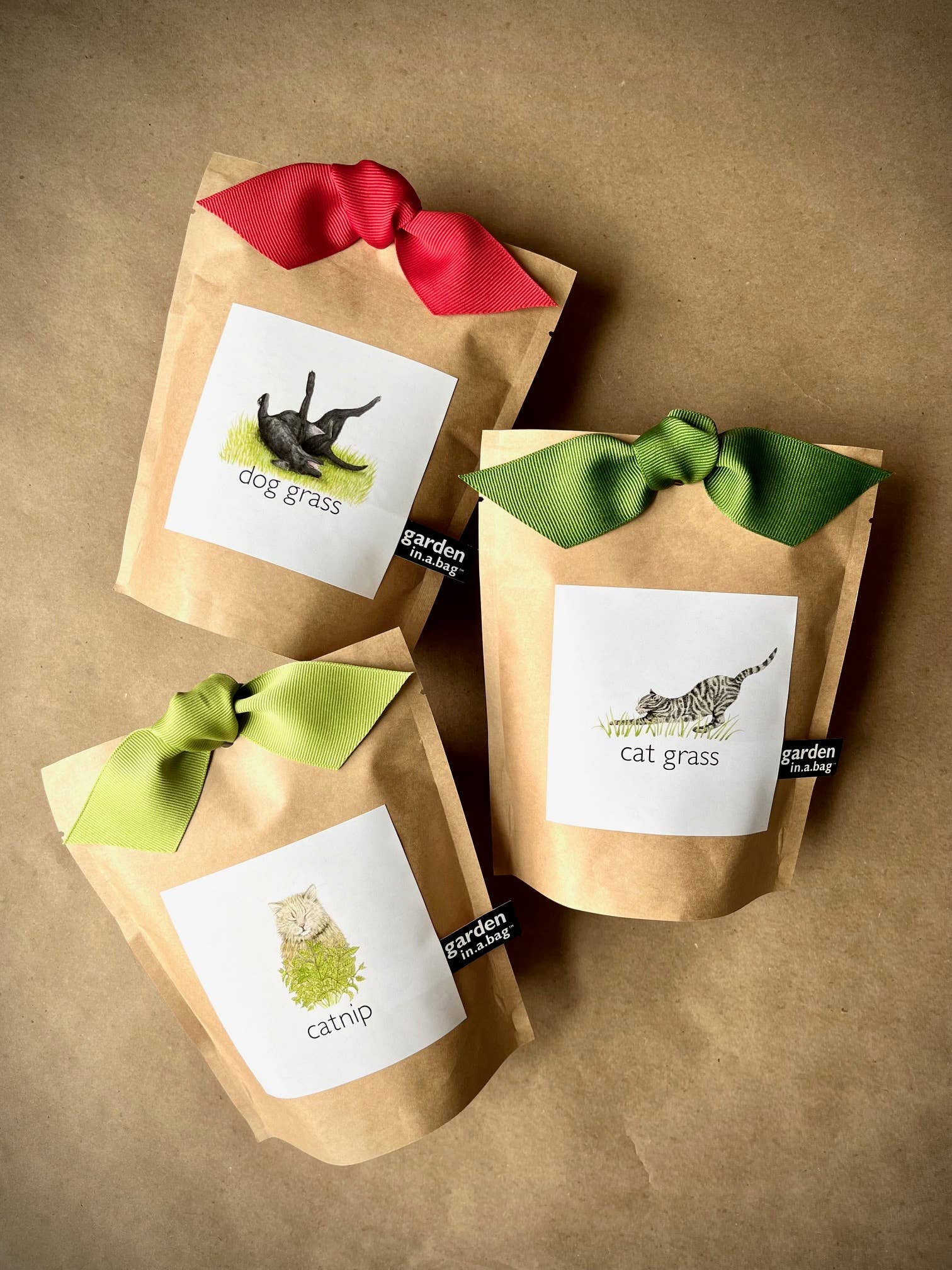 Garden in a Bag | Dog Grass | Spring Pet Treat Gift - Image 7