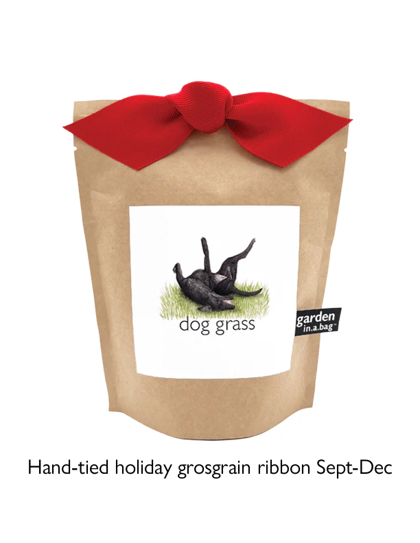 Garden in a Bag | Dog Grass | Spring Pet Treat Gift - Image 8