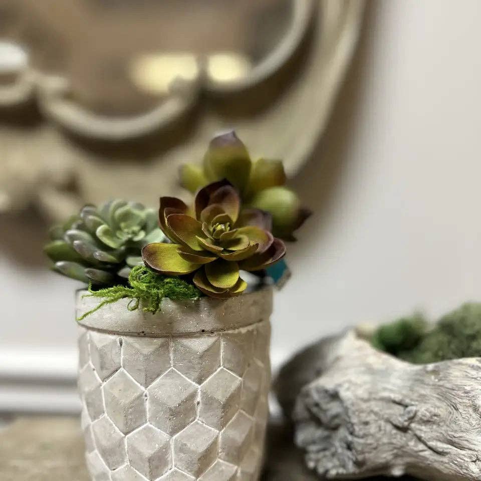 Geometric Cement Planter - Image 2