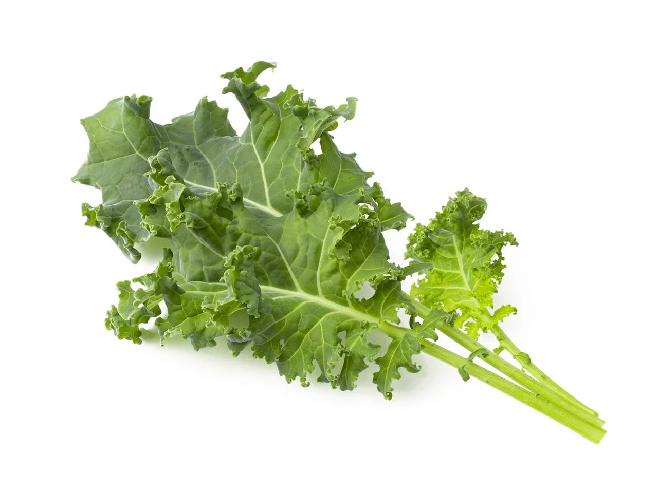 Green Kale Plant Pods 9-pack - Image 3