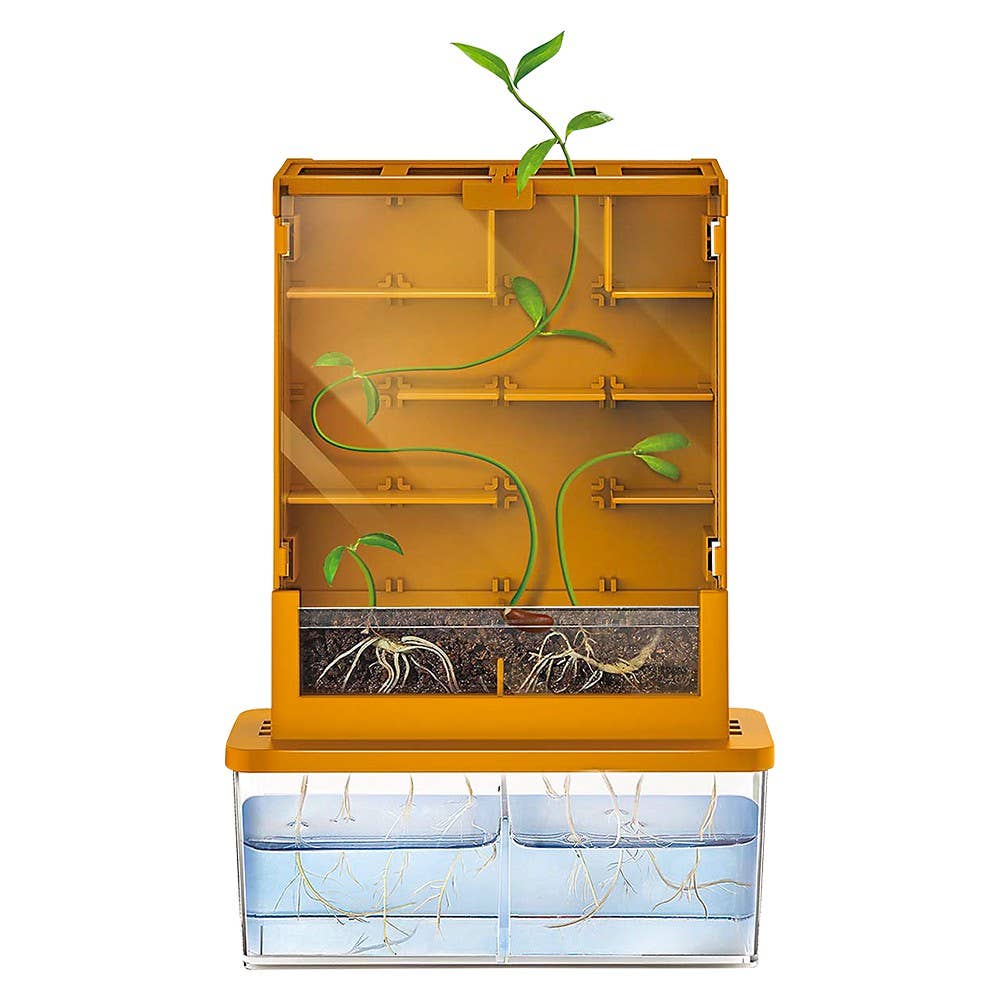 Green Science/Grow-A-Maze - Image 3