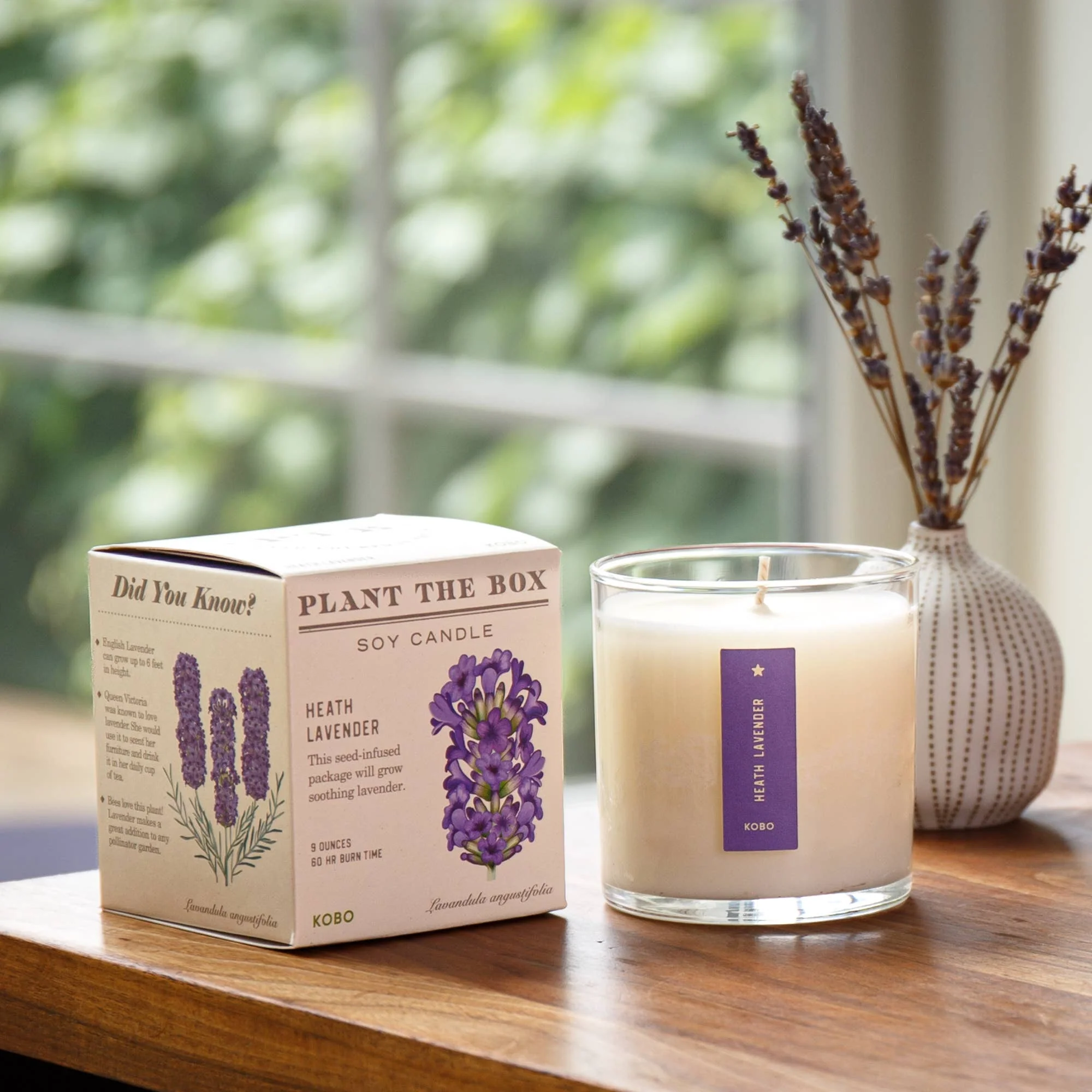 Heath Lavender - Plant the Box Candle - 9oz. - Image 4
