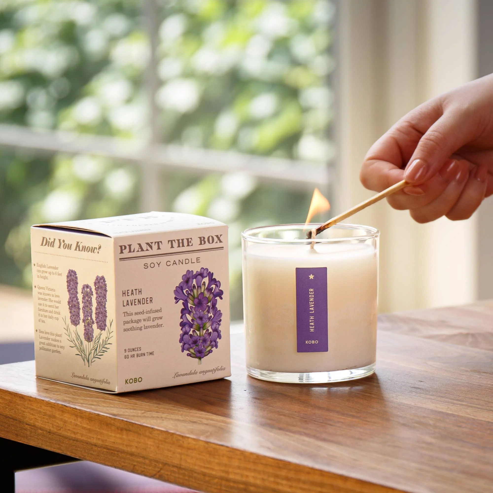 Heath Lavender - Plant the Box Candle - 9oz. - Image 5