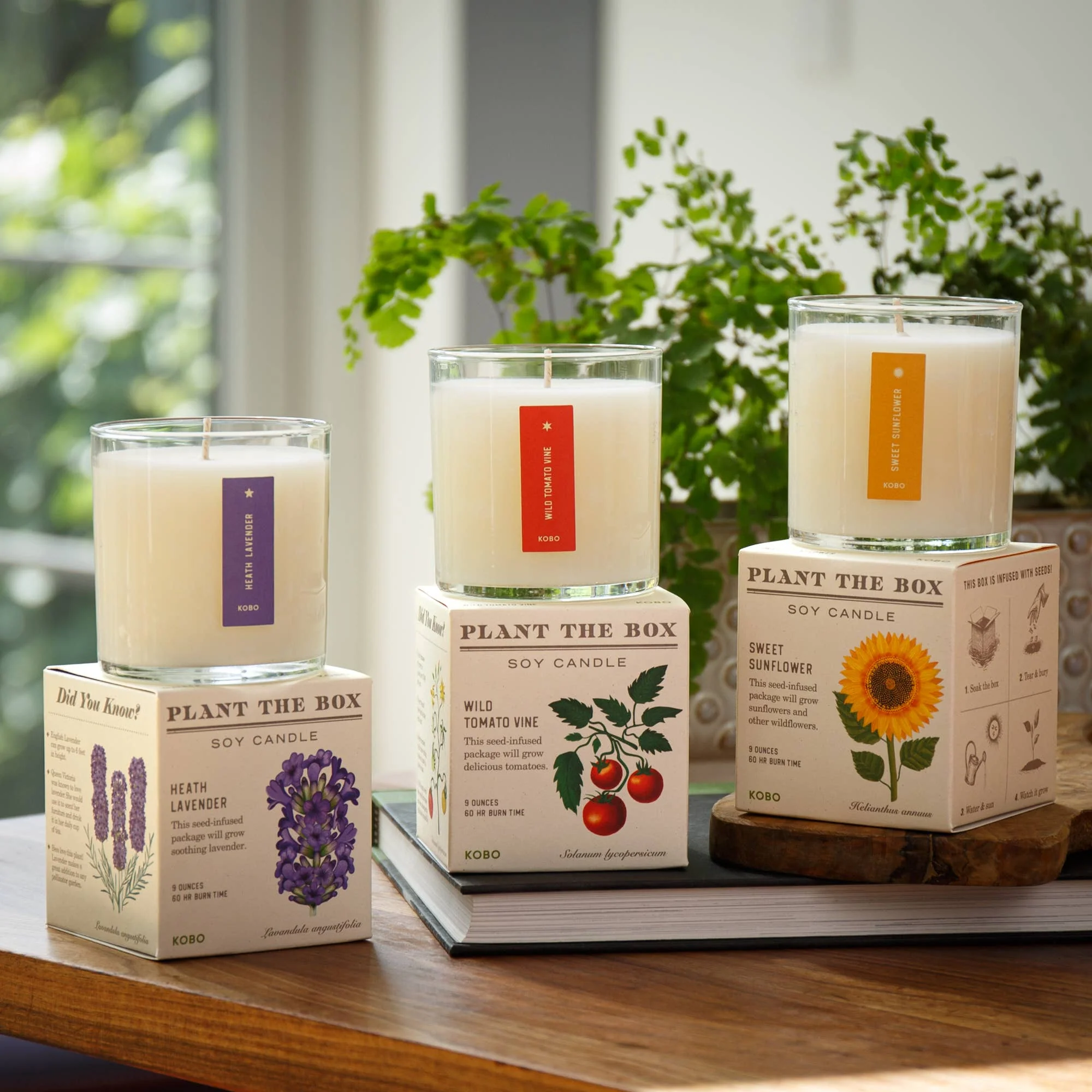 Heath Lavender - Plant the Box Candle - 9oz. - Image 8
