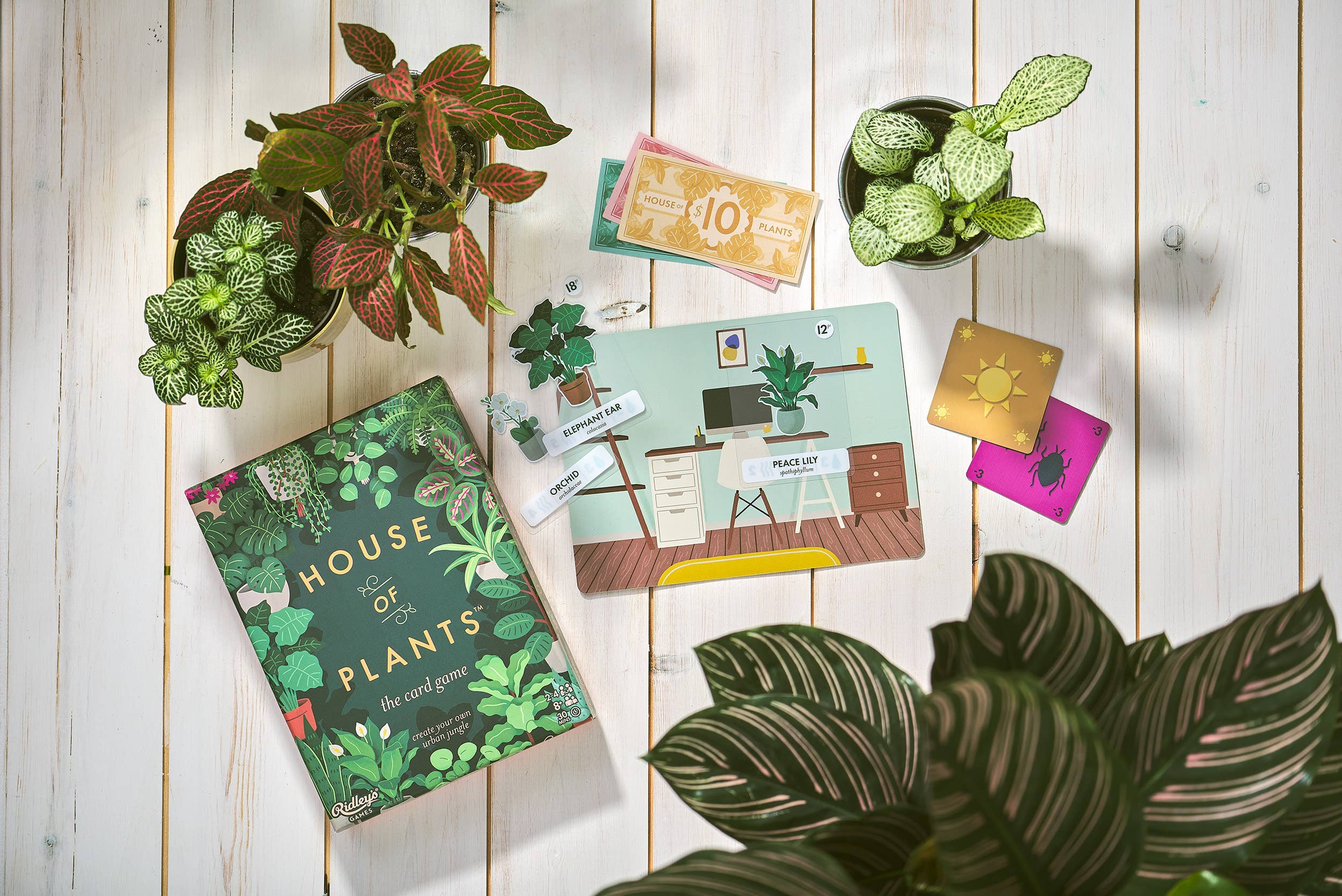 House of Plants: The Card Game - Image 2
