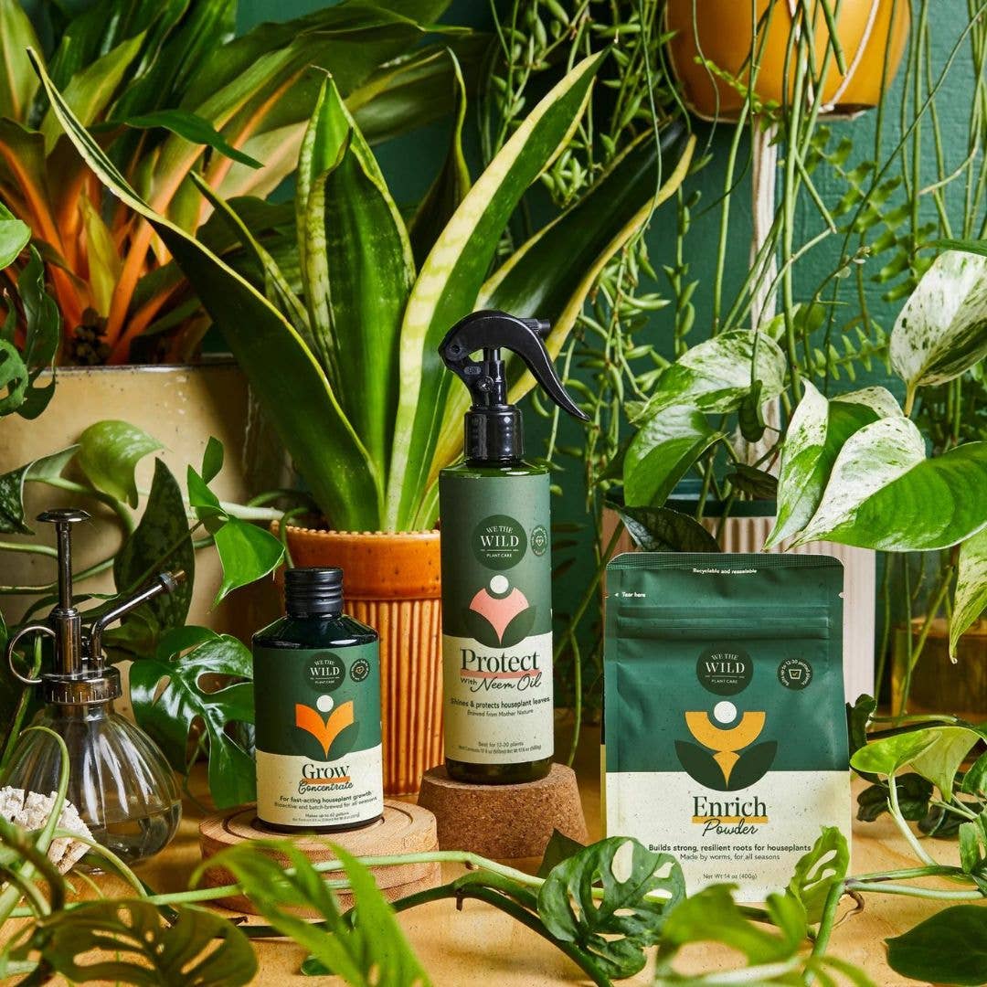 Houseplant Care Essentials Organic Starter Kit - Image 3