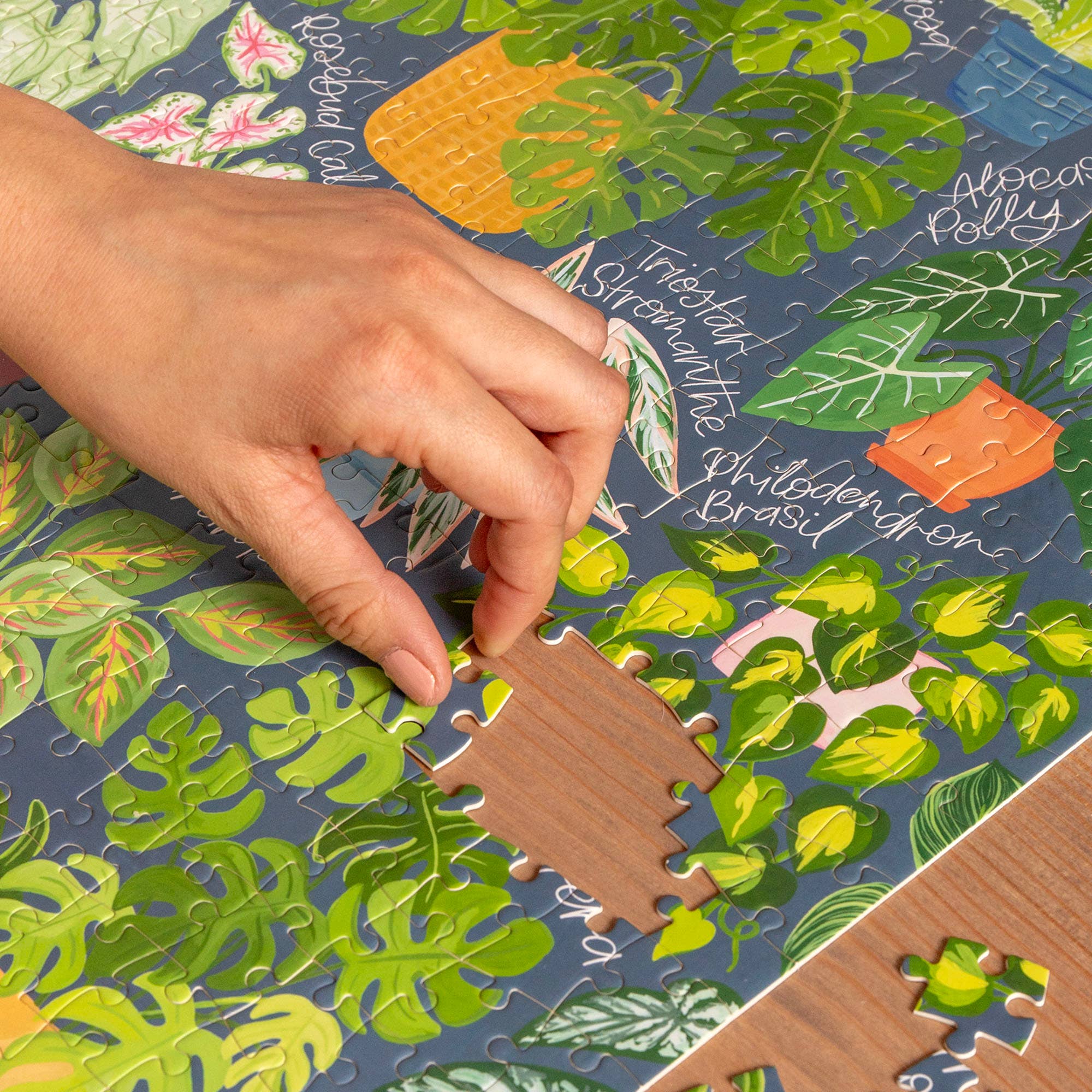Houseplant Jungle - 500 Piece Jigsaw Puzzle - Image 4