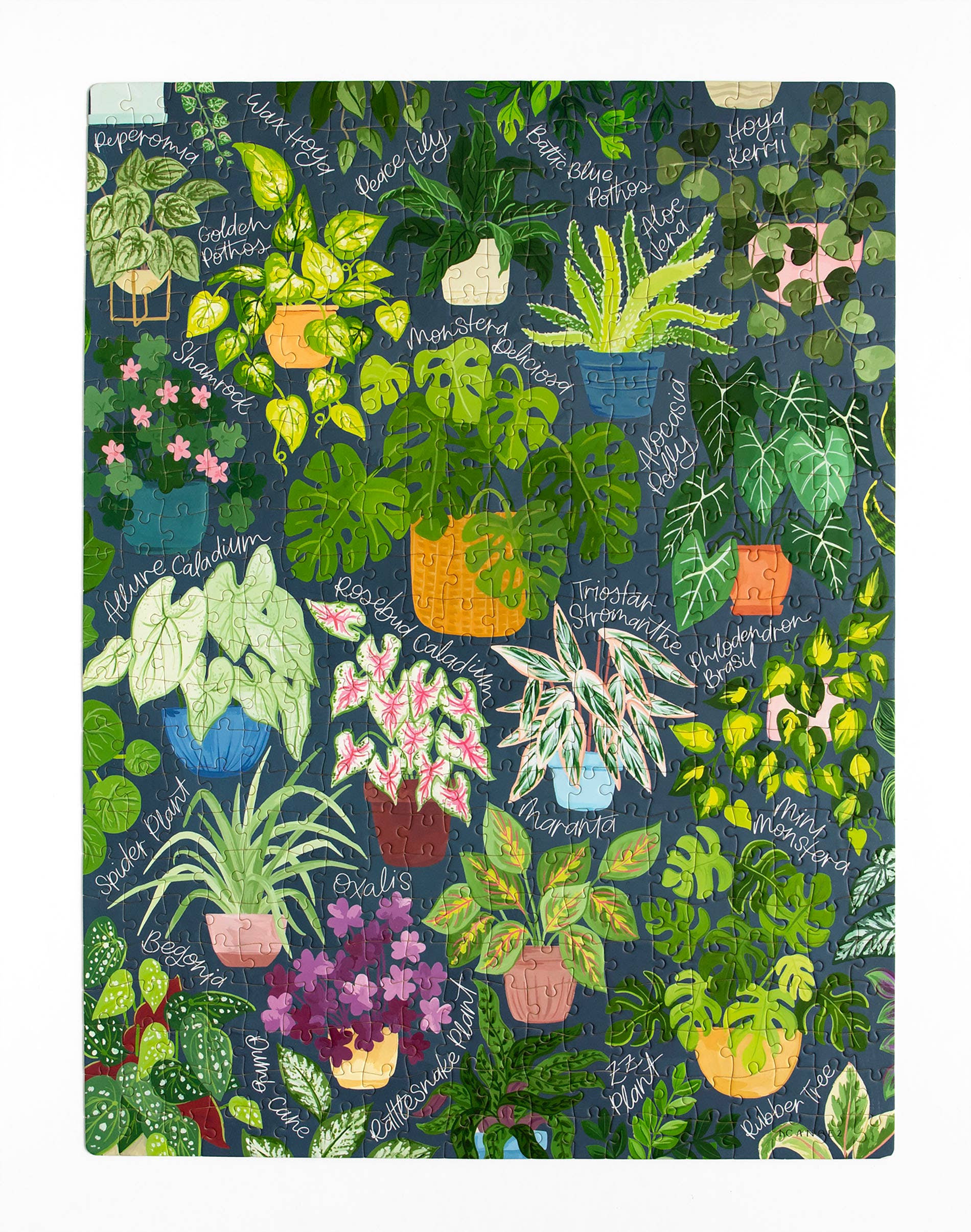 Houseplant Jungle - 500 Piece Jigsaw Puzzle - Image 5