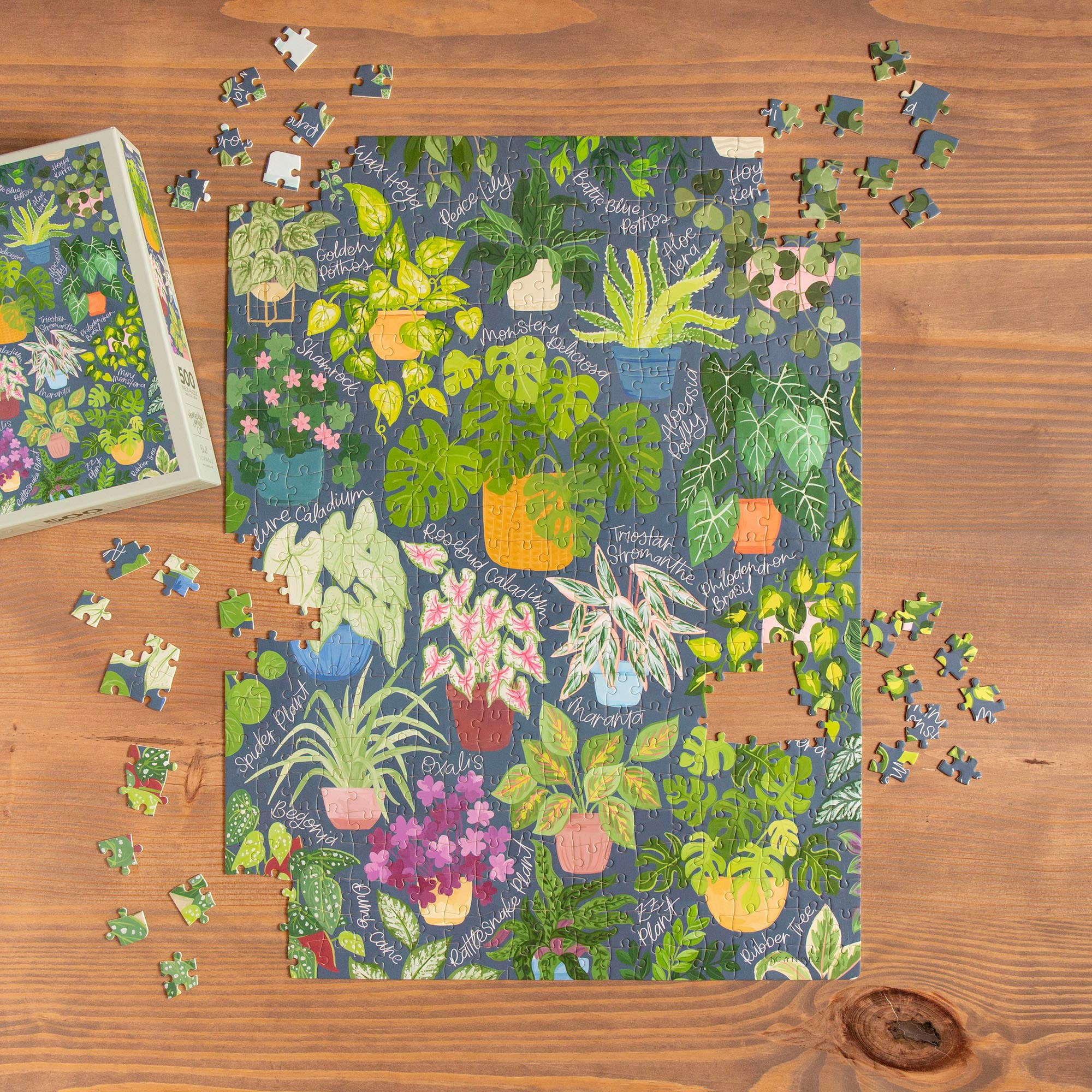 Houseplant Jungle - 500 Piece Jigsaw Puzzle - Image 7