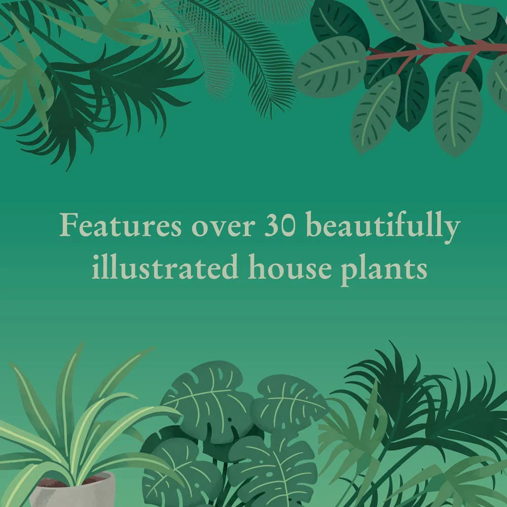 Houseplants 1000 Piece Jigsaw Puzzle - Image 4