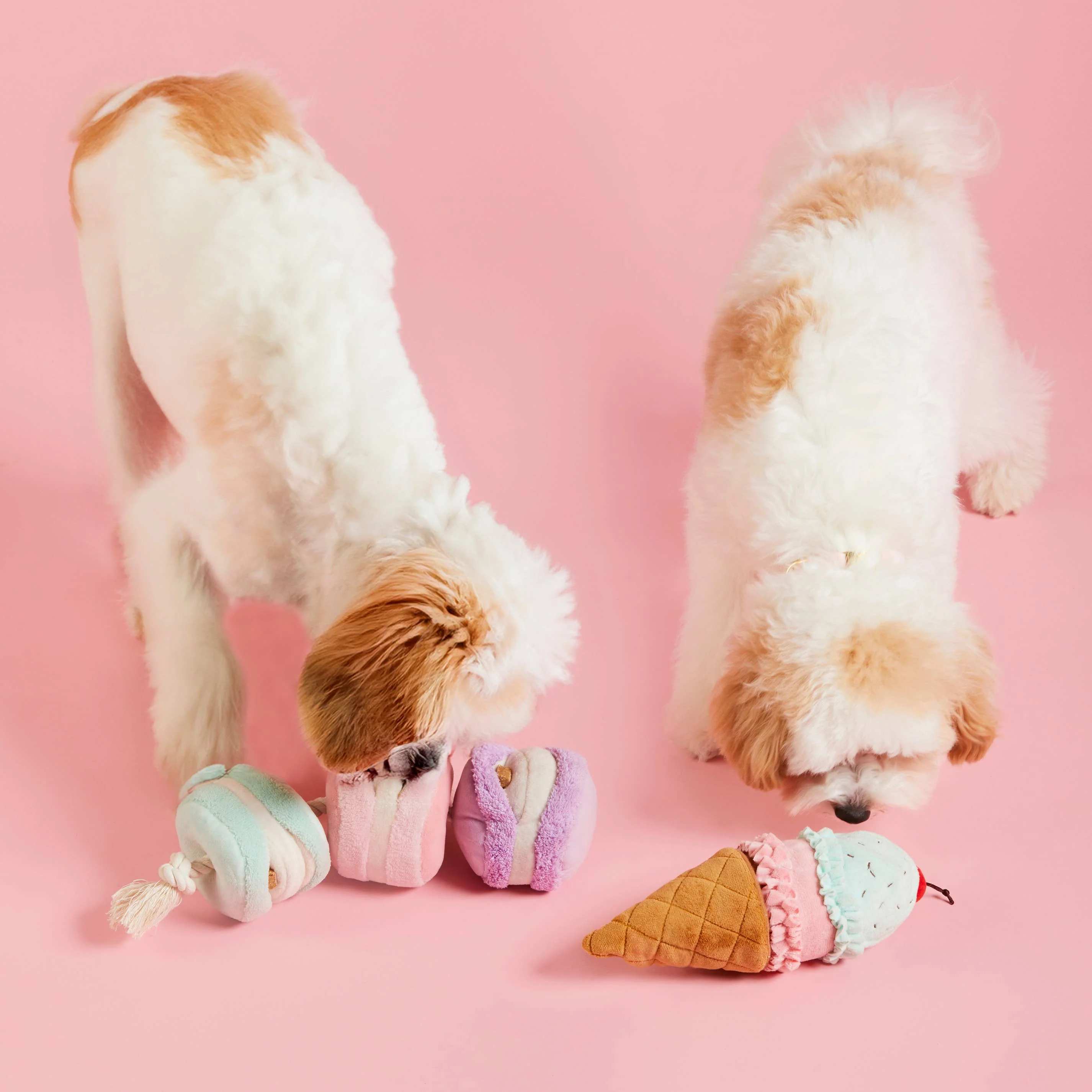 Ice Cream Interactive 2-in-1 Bounce Dog Toy - Image 6