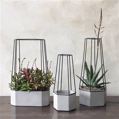 Indio Planter - Lrg - Cement - Image 3