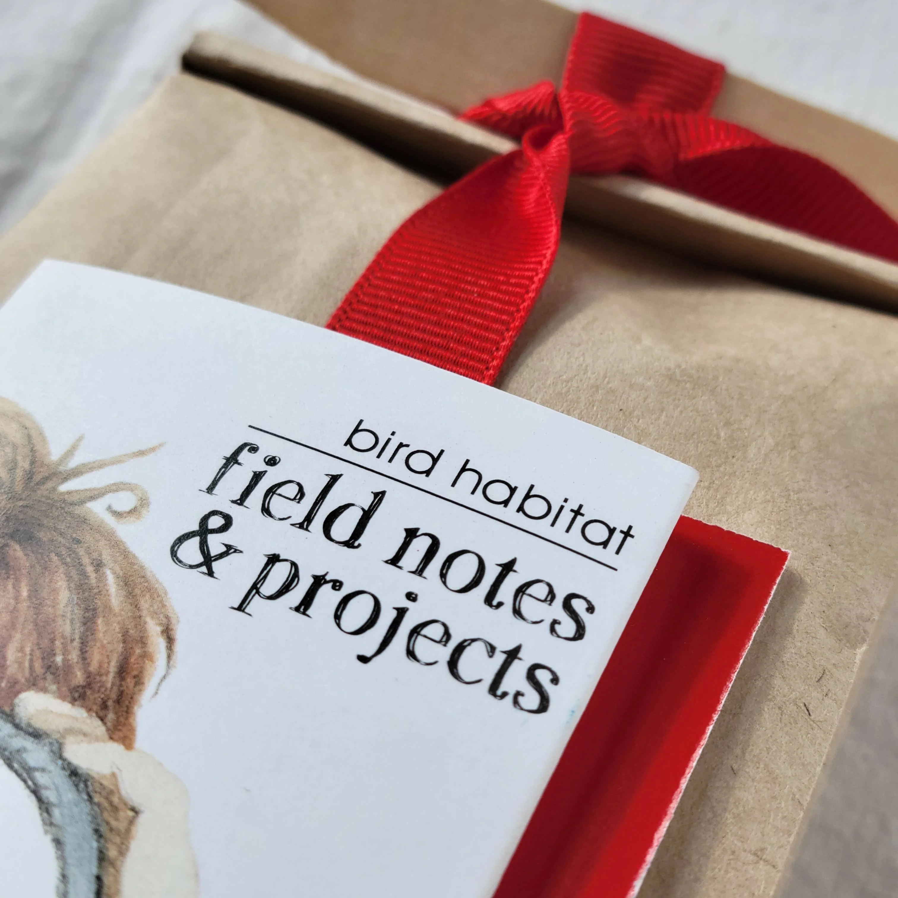 Kids Scatter Garden | Bird Habitat | Holiday Learning Gift - Image 3
