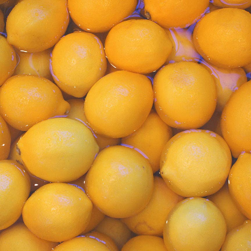 Lemon Champagne - Image 5