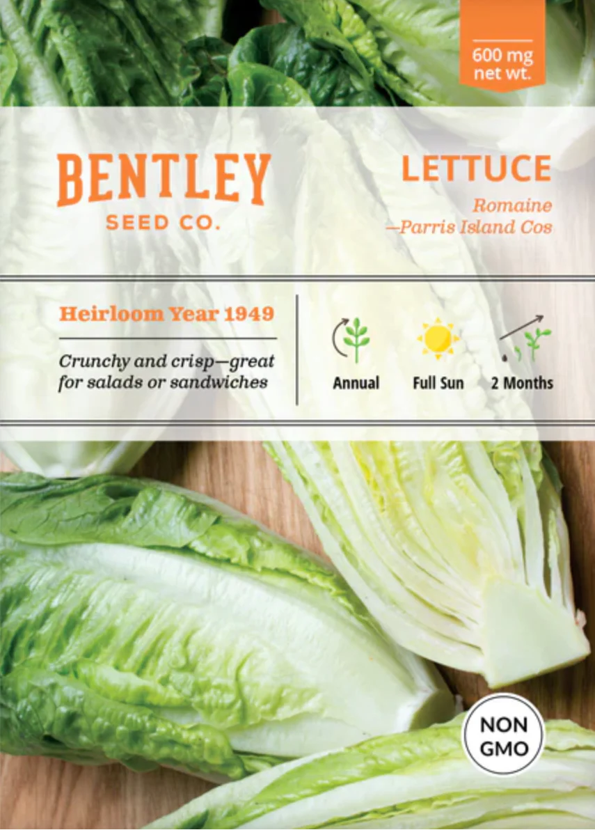 Lettuce 'Parris Island Romaine' - Vegetable Seeds - Image 2
