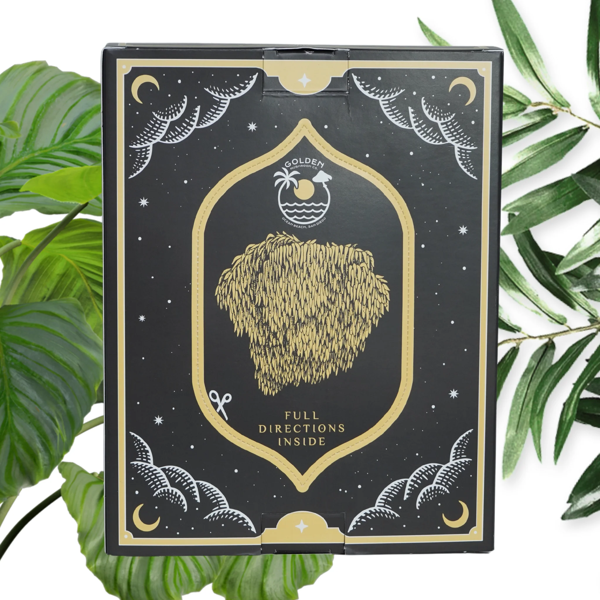 Lion's Mane Mushroom Grow Kit - Image 3