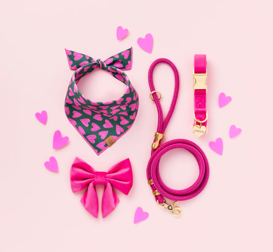 Lovestruck Valentine's Day Dog Bandana - Image 2