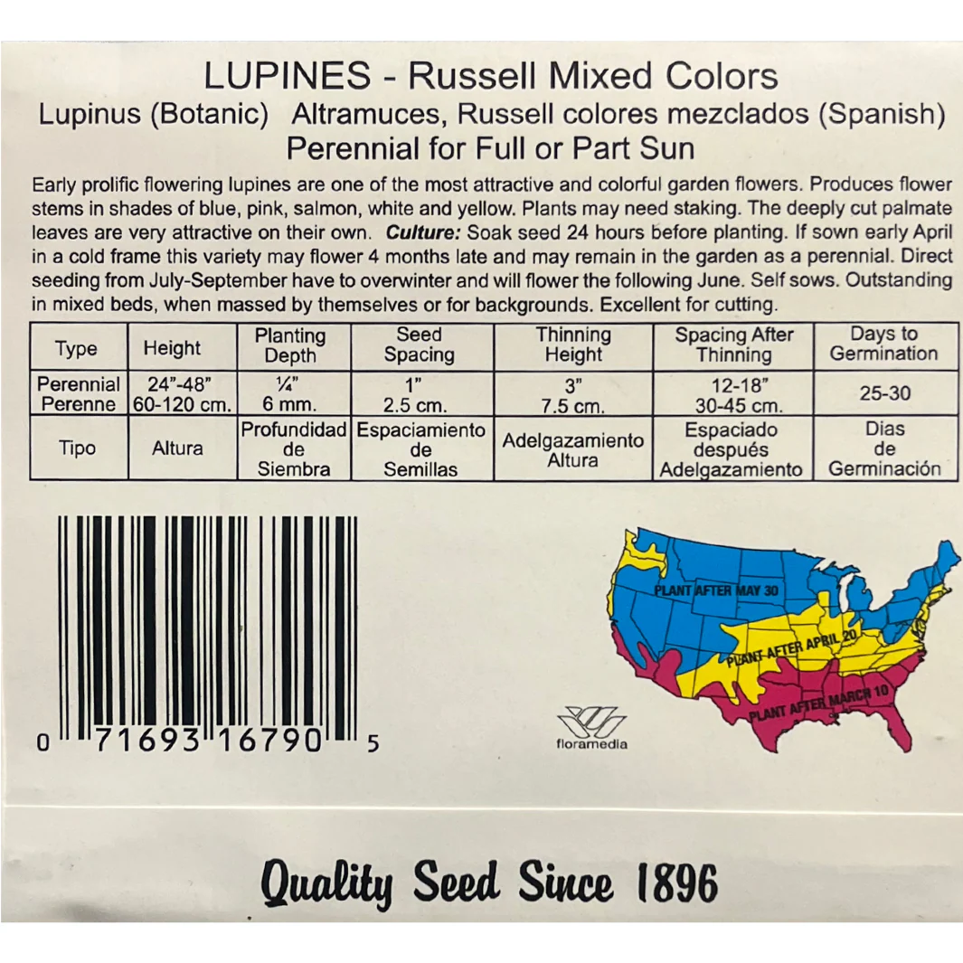 Lupine - Russell Perennial Hybrid Mix Seeds - Image 2