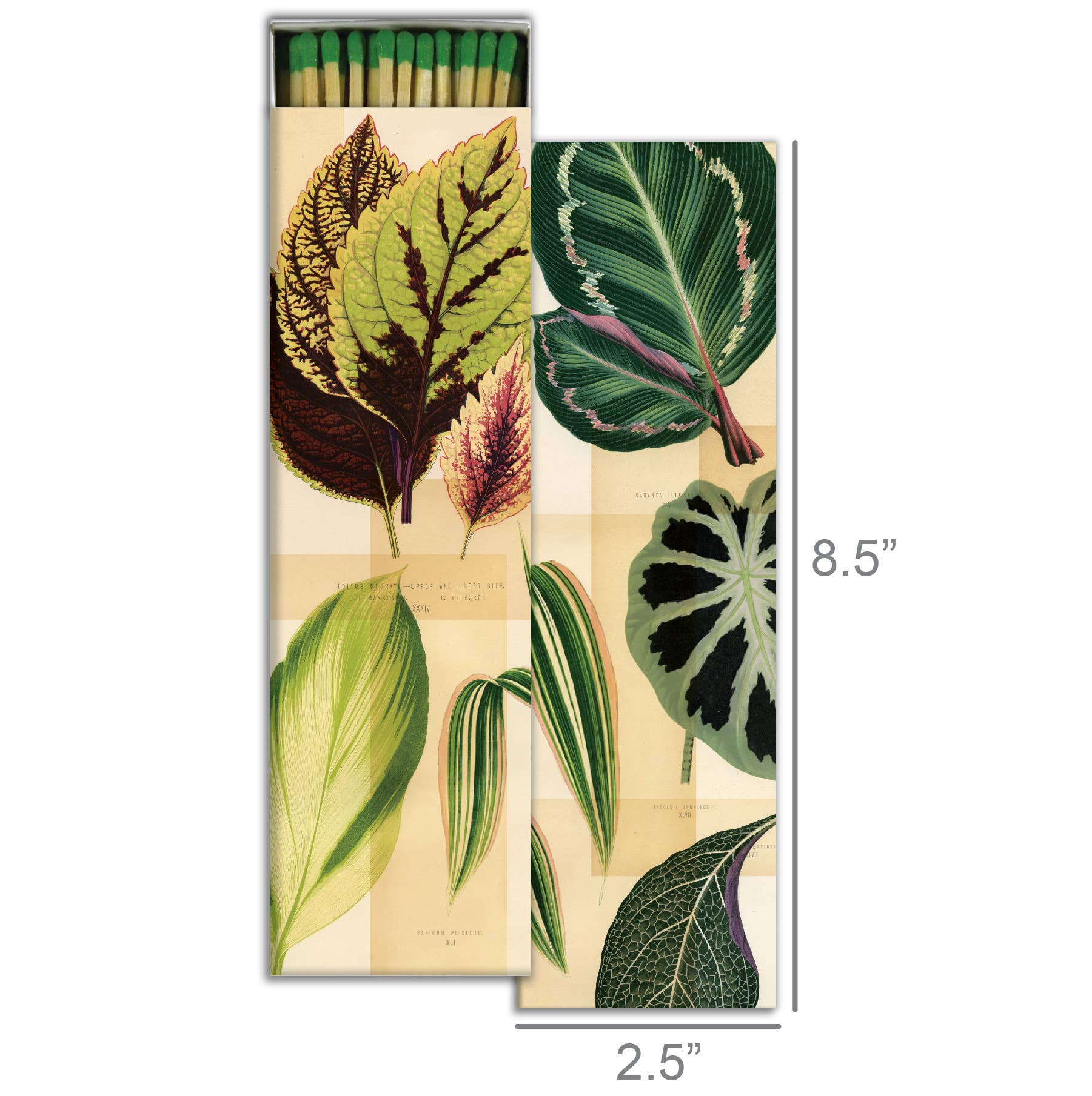 Long Matches - Image 2