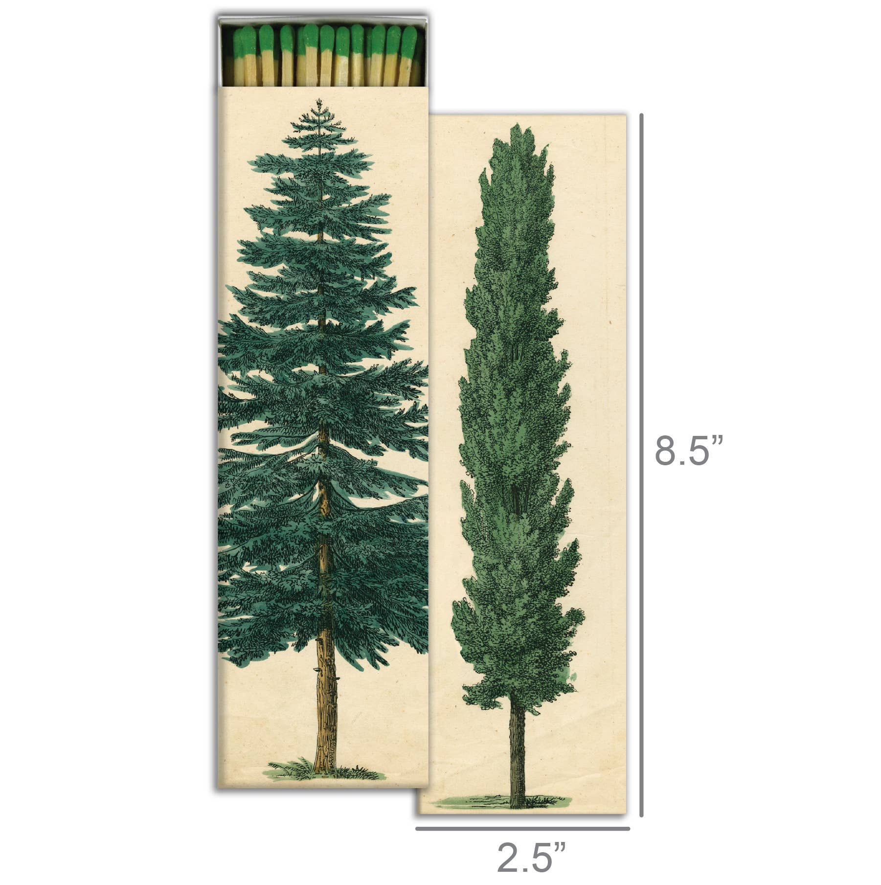 Match - Tall Trees - Image 2
