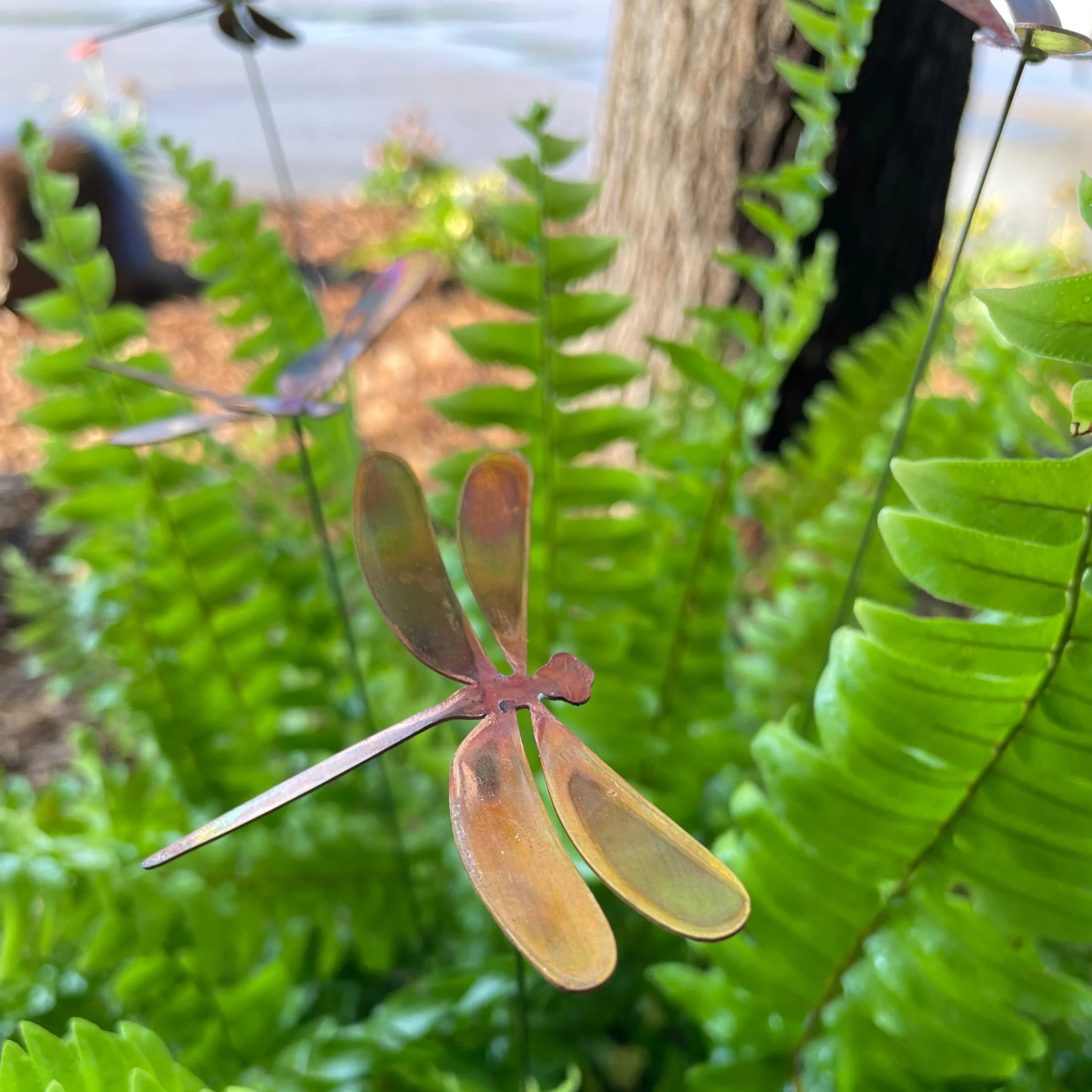 Medium Natural Copper Dragonfly - Image 4