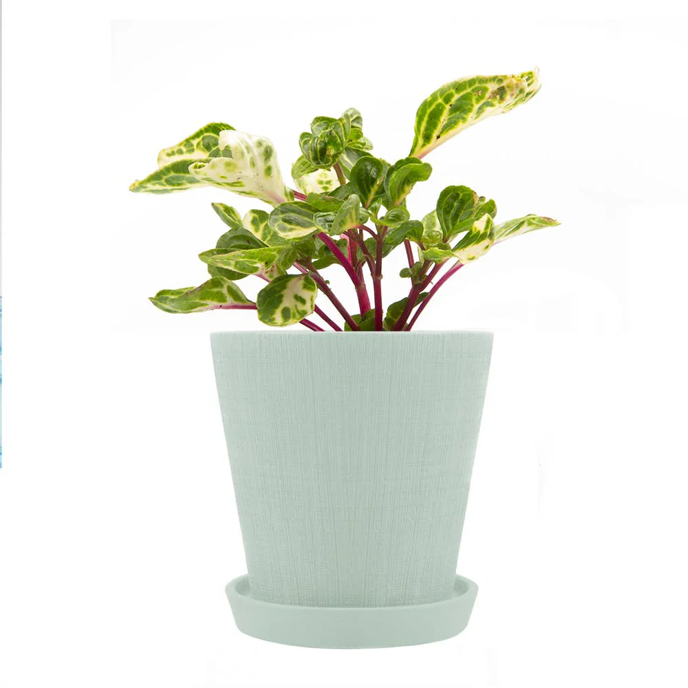 Mick Planter Pots With Drainage Holes Bulk SALE SALE - Image 11