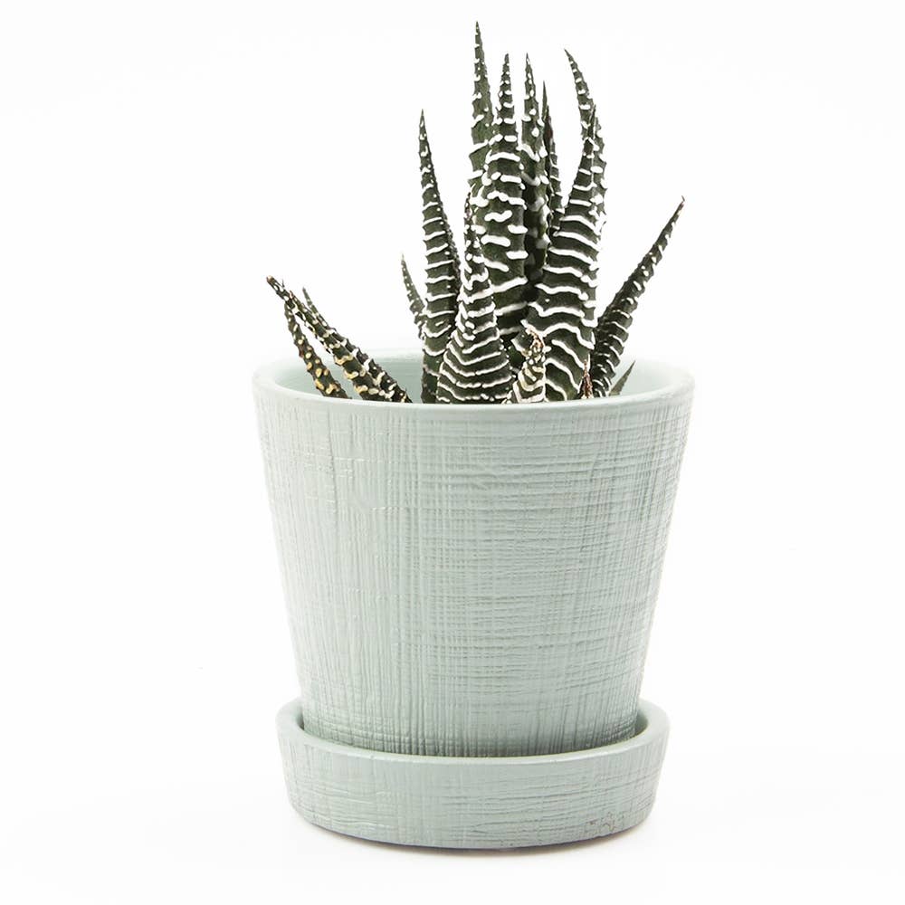 Mick Planter Pots With Drainage Holes Bulk SALE SALE - Image 19