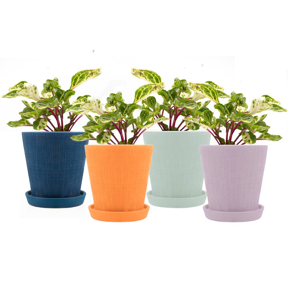 Mick Planter Pots With Drainage Holes Bulk SALE SALE - Image 3