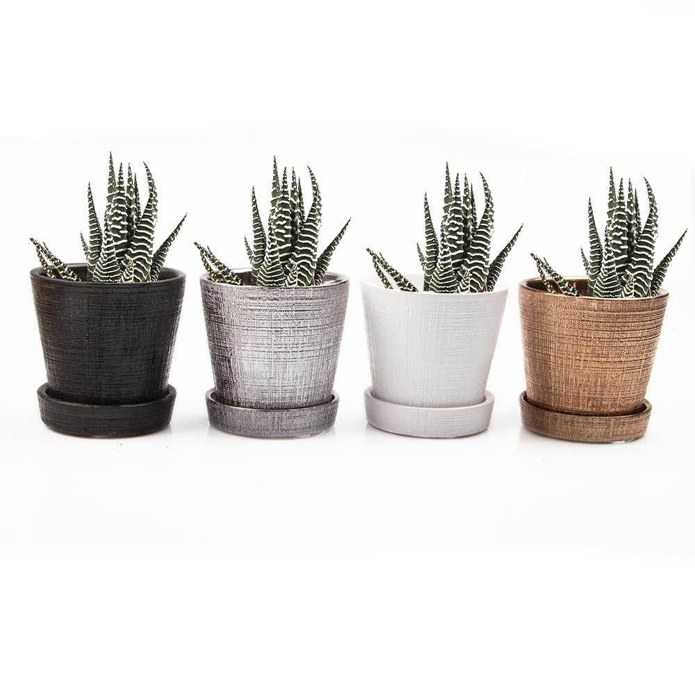 Mick Planter Pots With Drainage Holes Bulk SALE SALE - Image 5