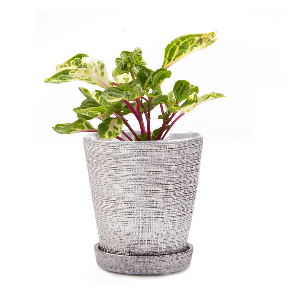 Mick Planter Pots With Drainage Holes Bulk SALE SALE - Image 9