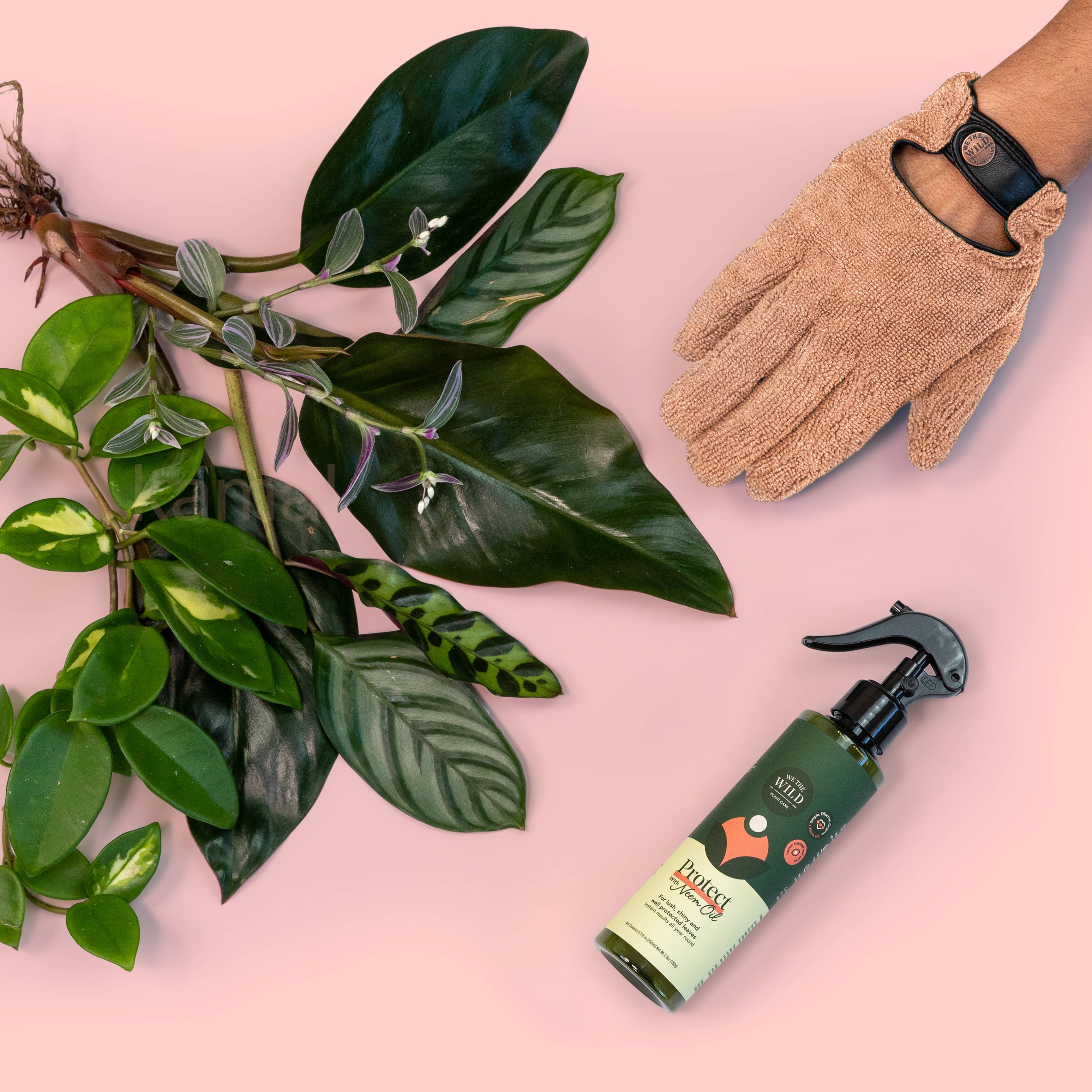 Microfiber Leaf Cleaning Gloves - Pink - Image 3