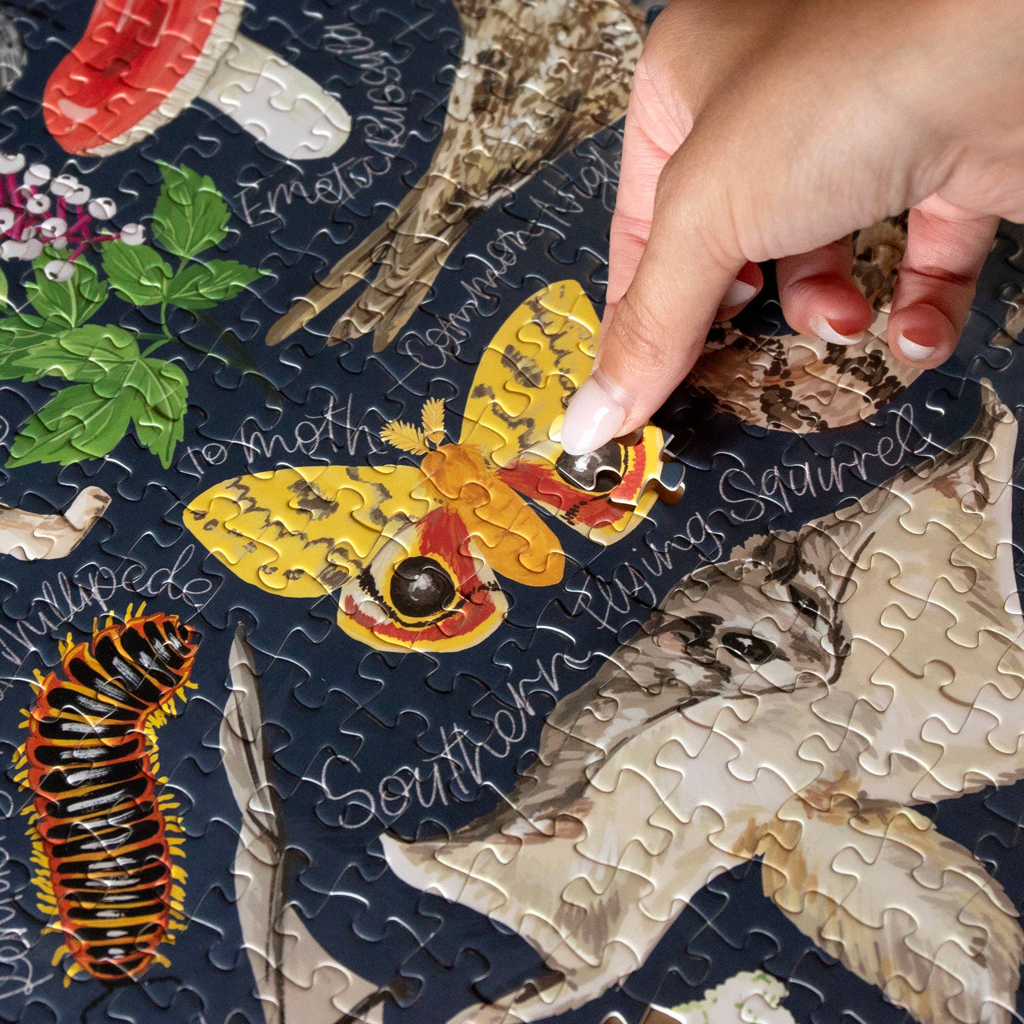 Midnight Flora & Fauna - 1000 Piece Jigsaw Puzzle - Image 4