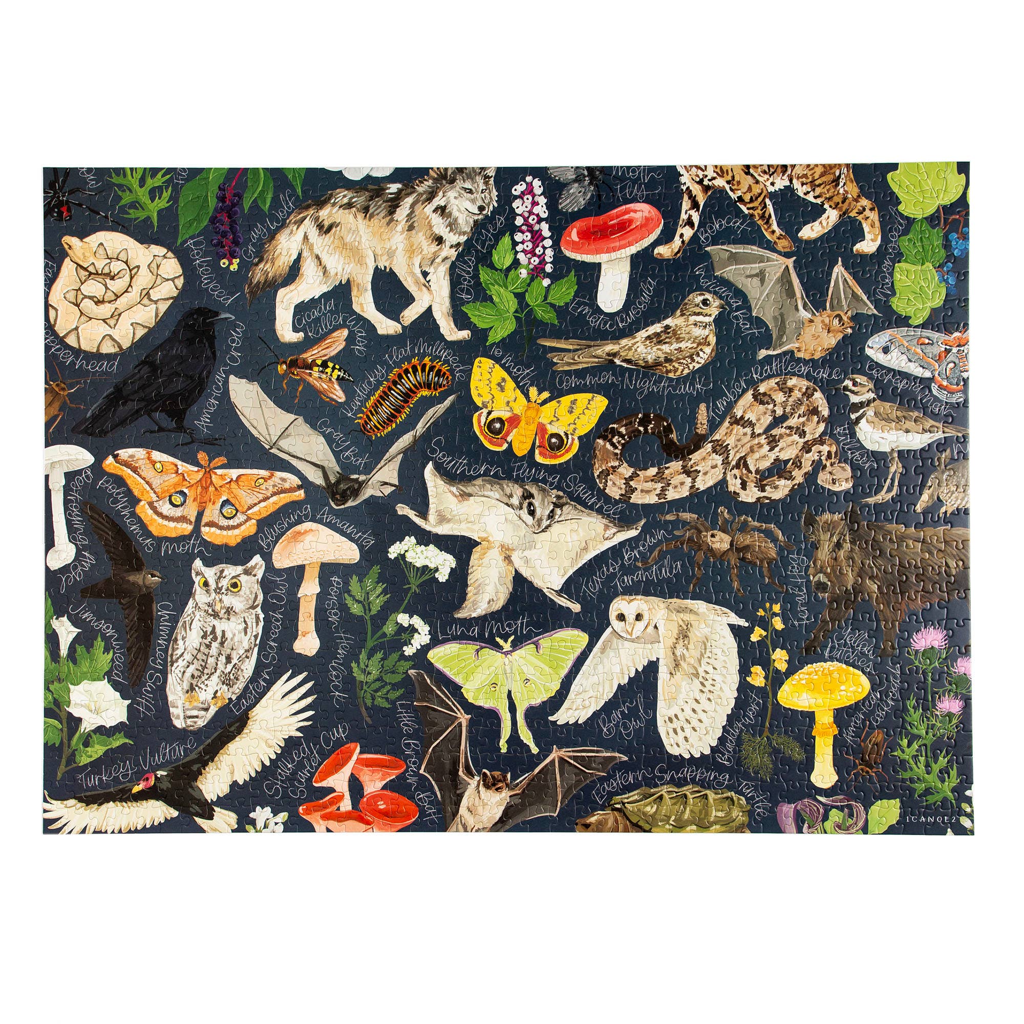 Midnight Flora & Fauna - 1000 Piece Jigsaw Puzzle - Image 5