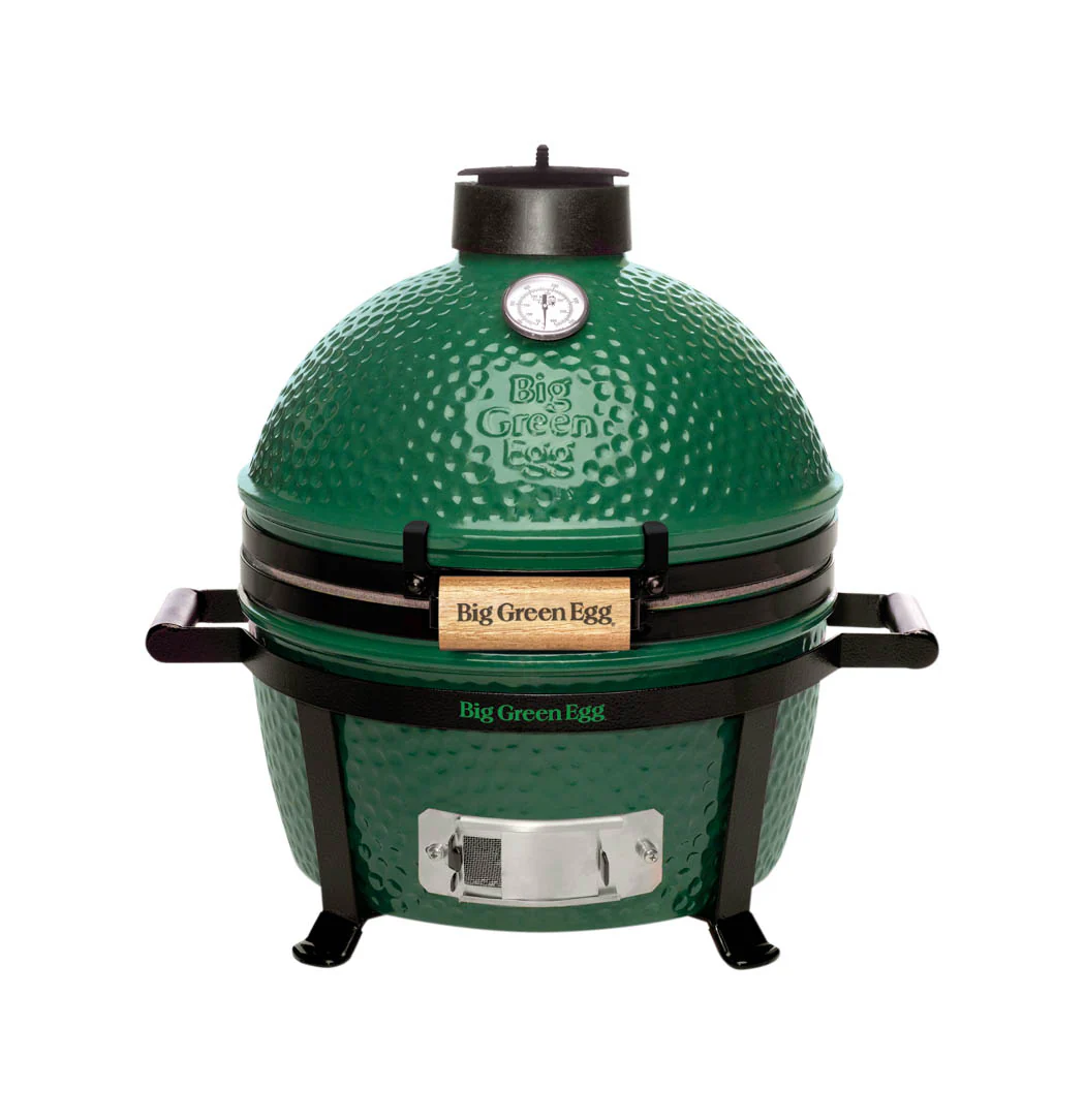 Mini Carrier for Green Egg - Image 2
