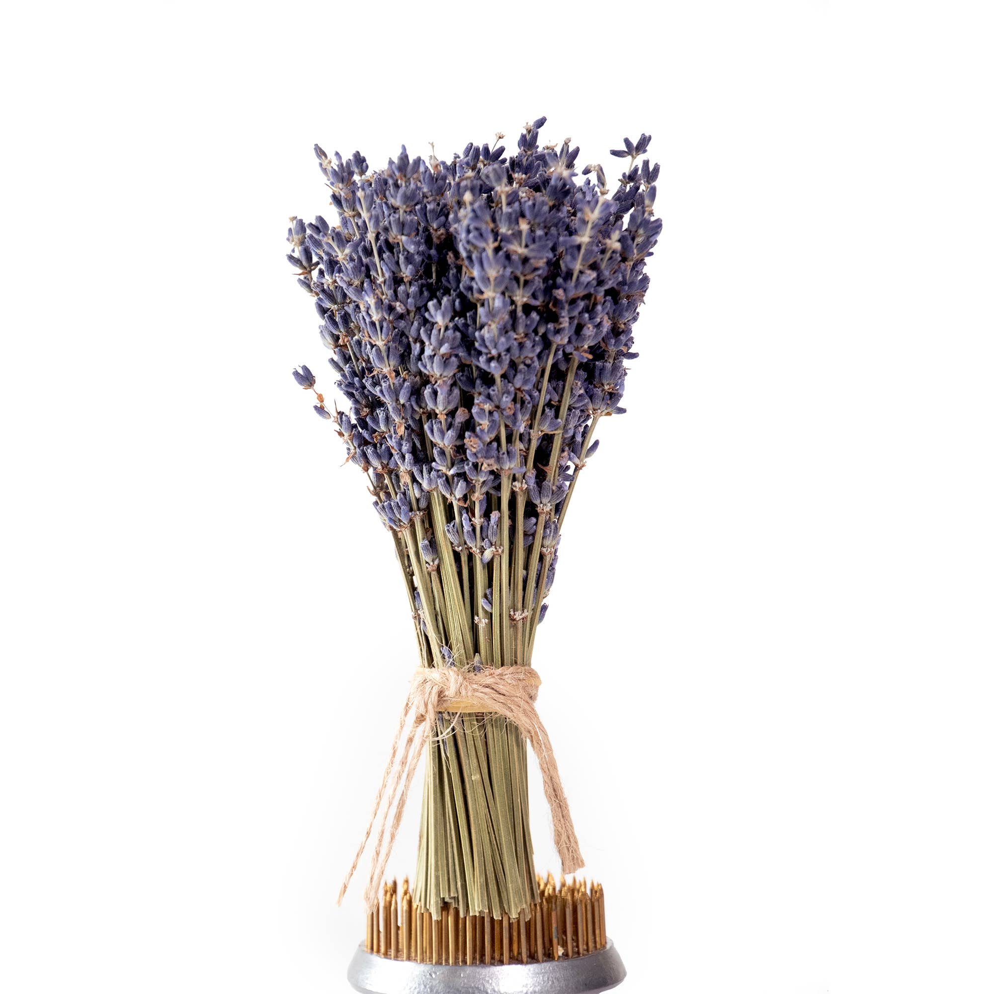 MINI French Lavender Bundle - Image 4