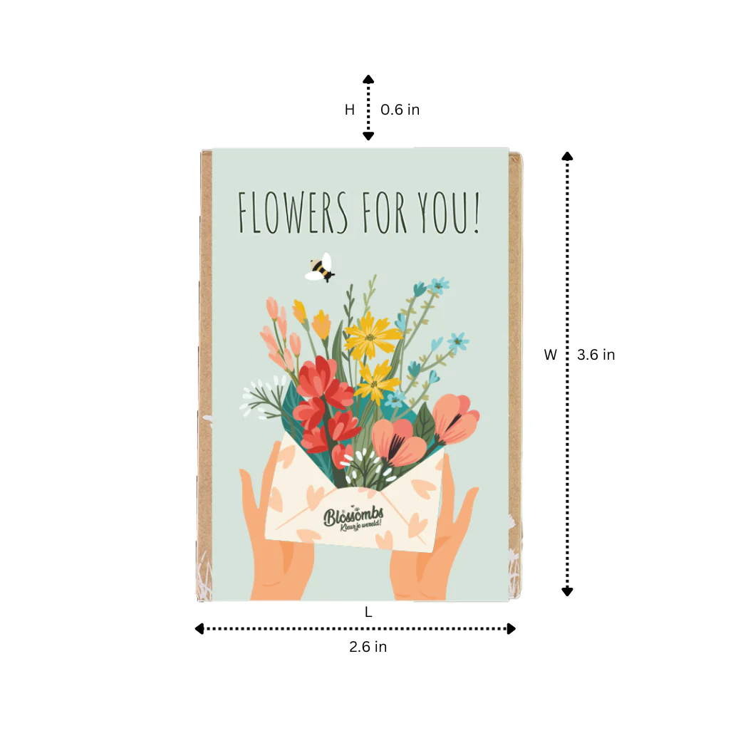 Mini Wildflower Seed Box – Flowers For You Gift Set (4) - Image 5