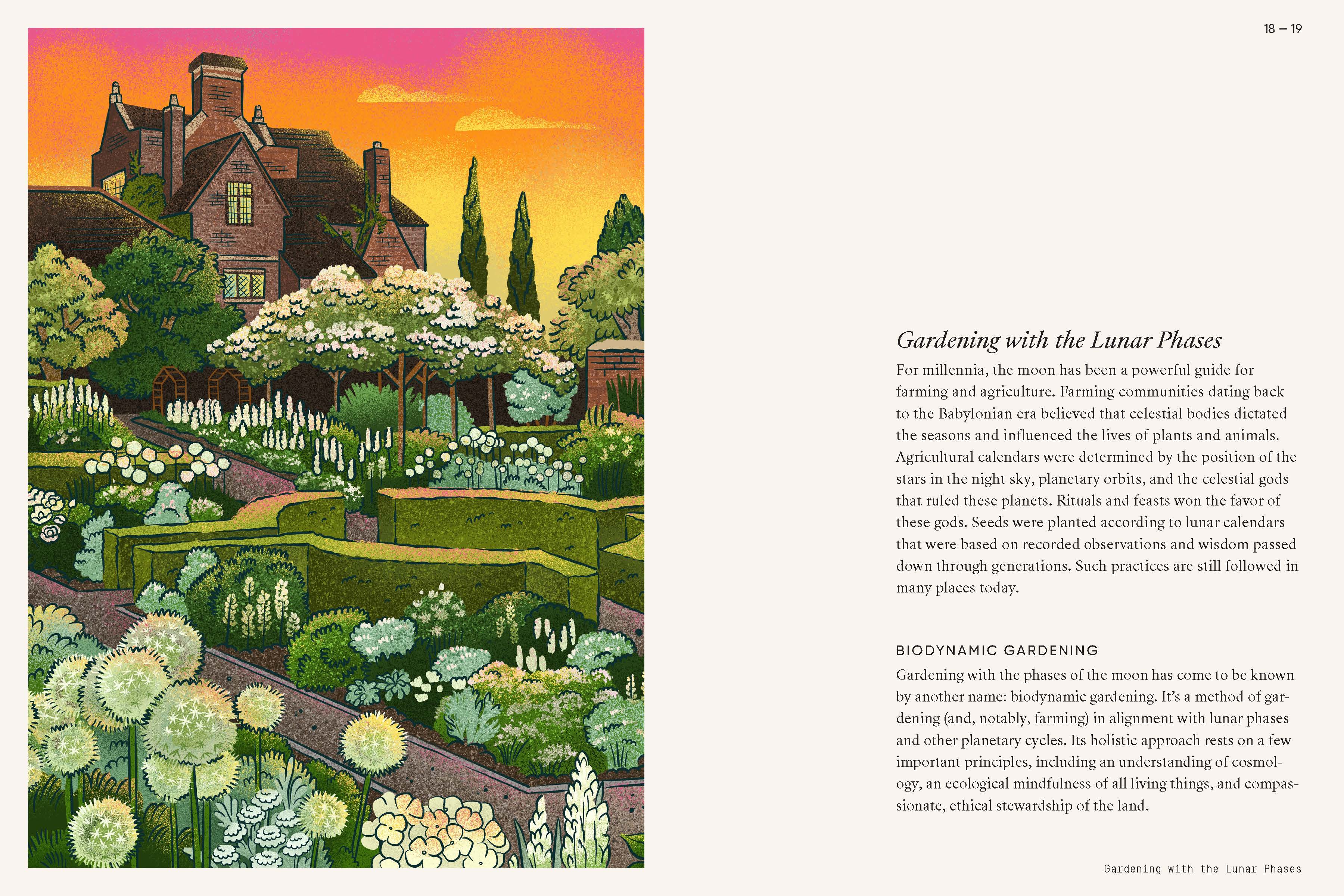 Moon Garden - Image 7