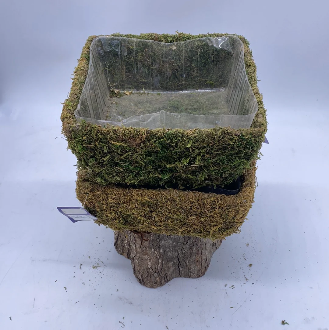 Moss lined pot -Deco Basket - Image 2