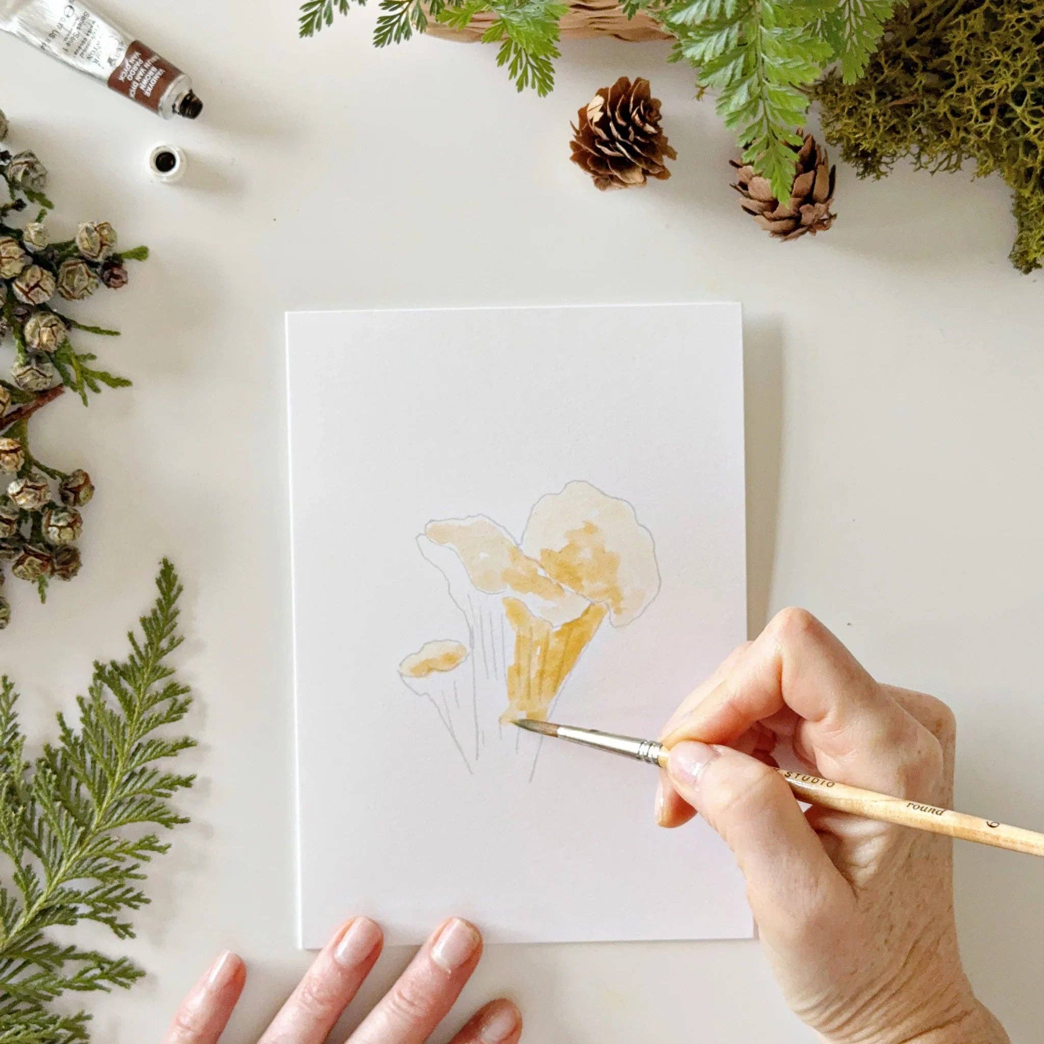 Mushrooms paintable watercolor notecard set - Image 5