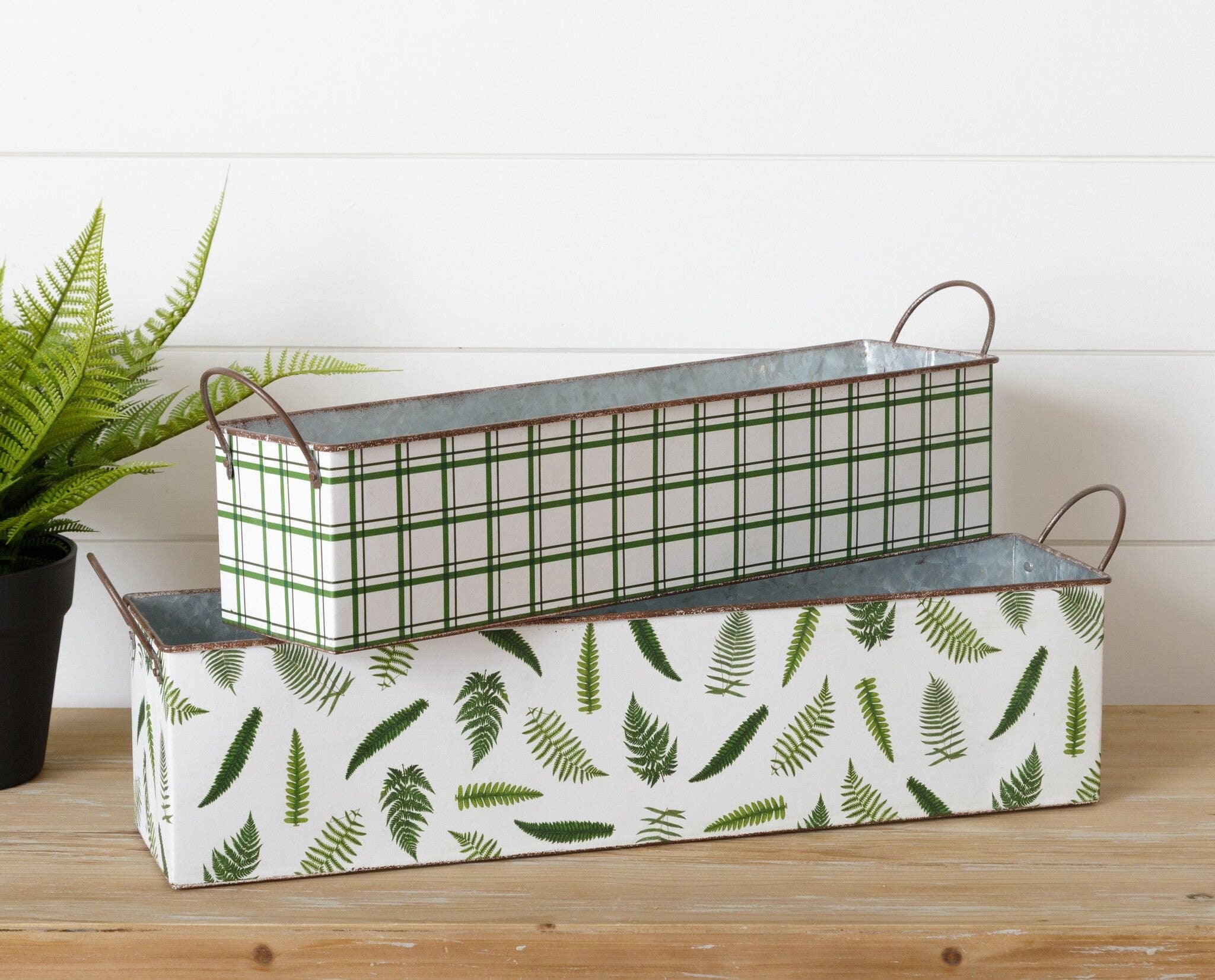Nested Rectangular Fern Tins - Small - Image 2