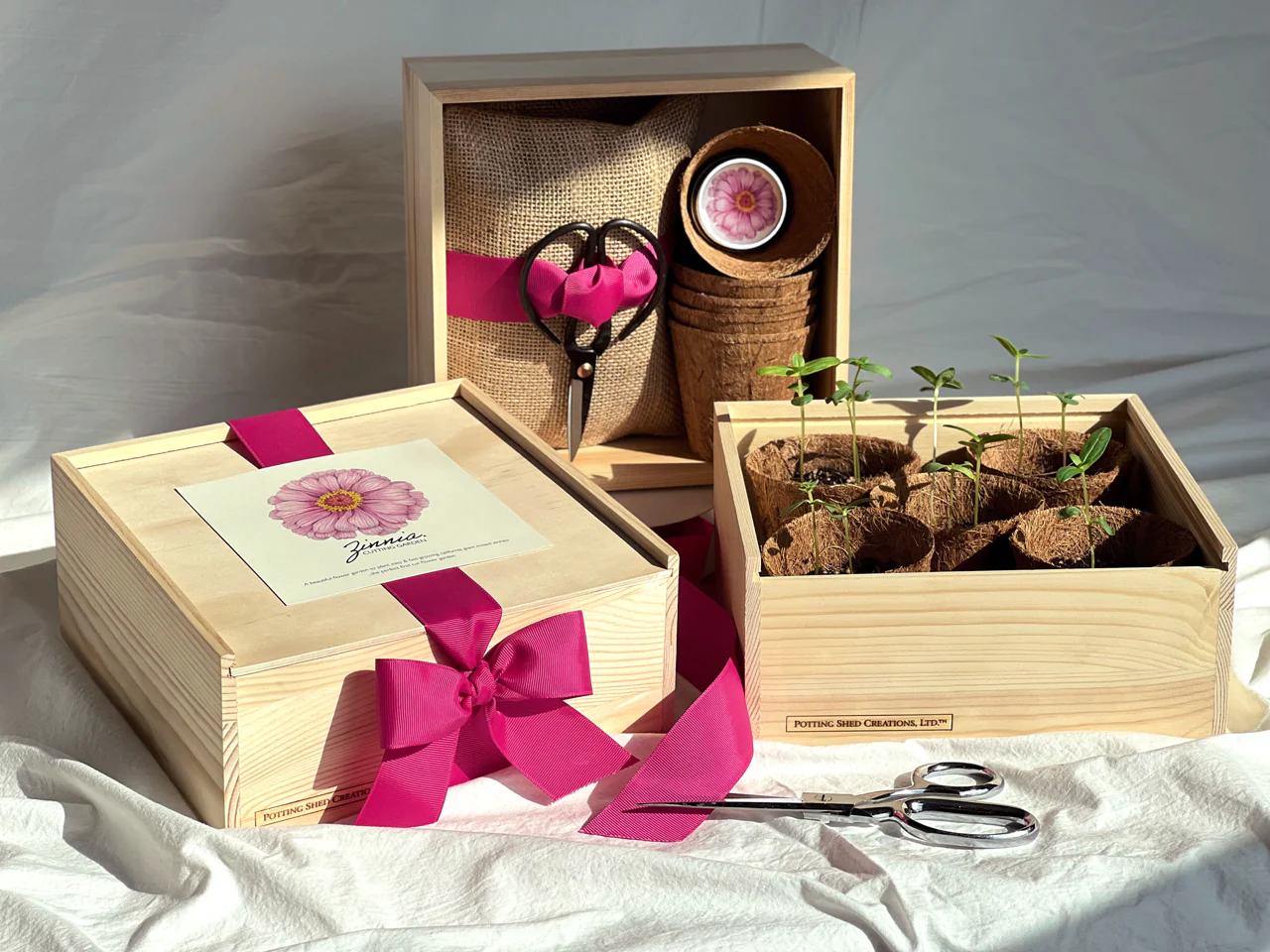 Culinary Herb Garden Box | Holiday Gift for Gardeners - Image 7